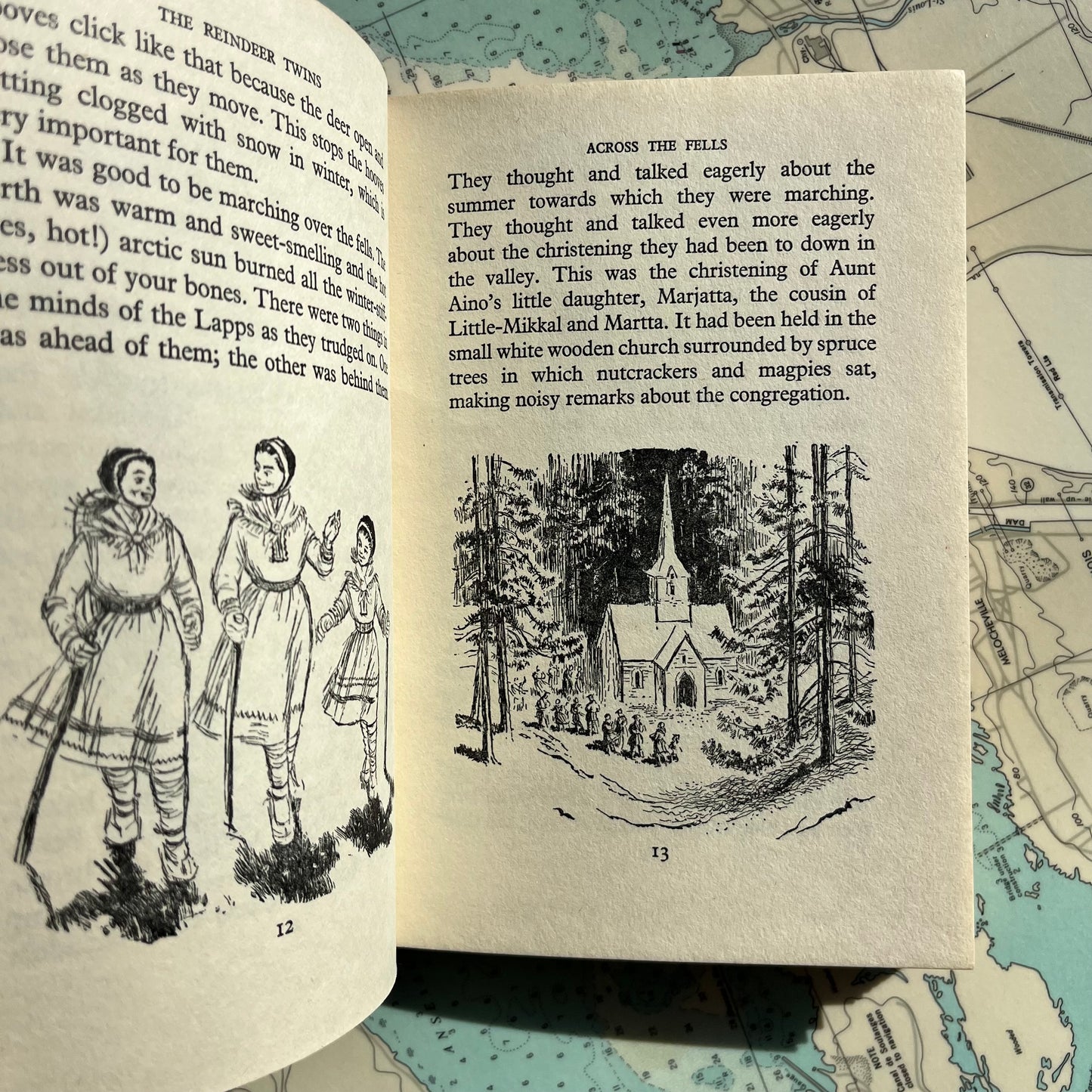 Vintage Hardcover The Reindeer Twins by Alan Jenkins
