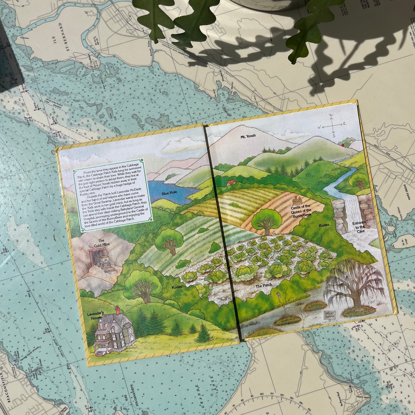 Vintage 1984 Cabbage Patch Kids Xavier's Fantastic Discovery