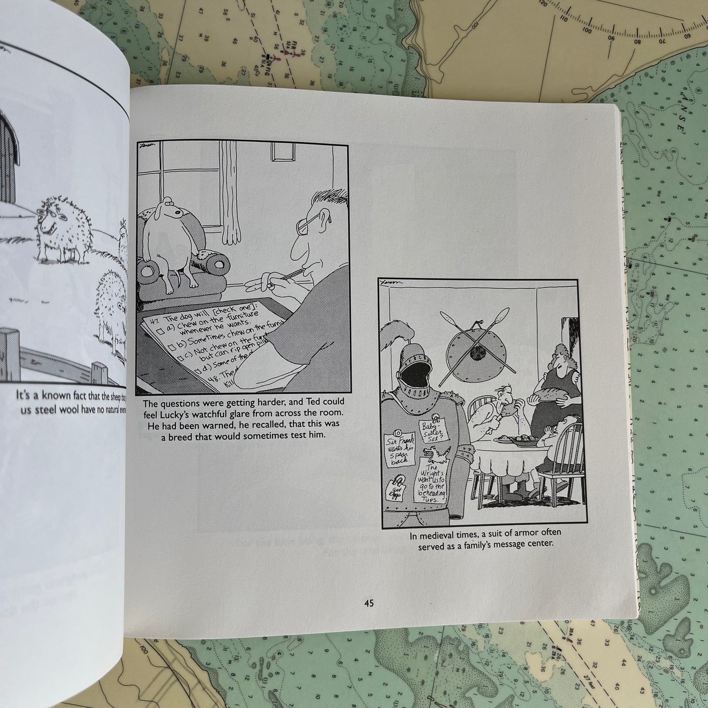 Vintage 1994 Far Side The Curse of Madame 'C' by Gary Larson