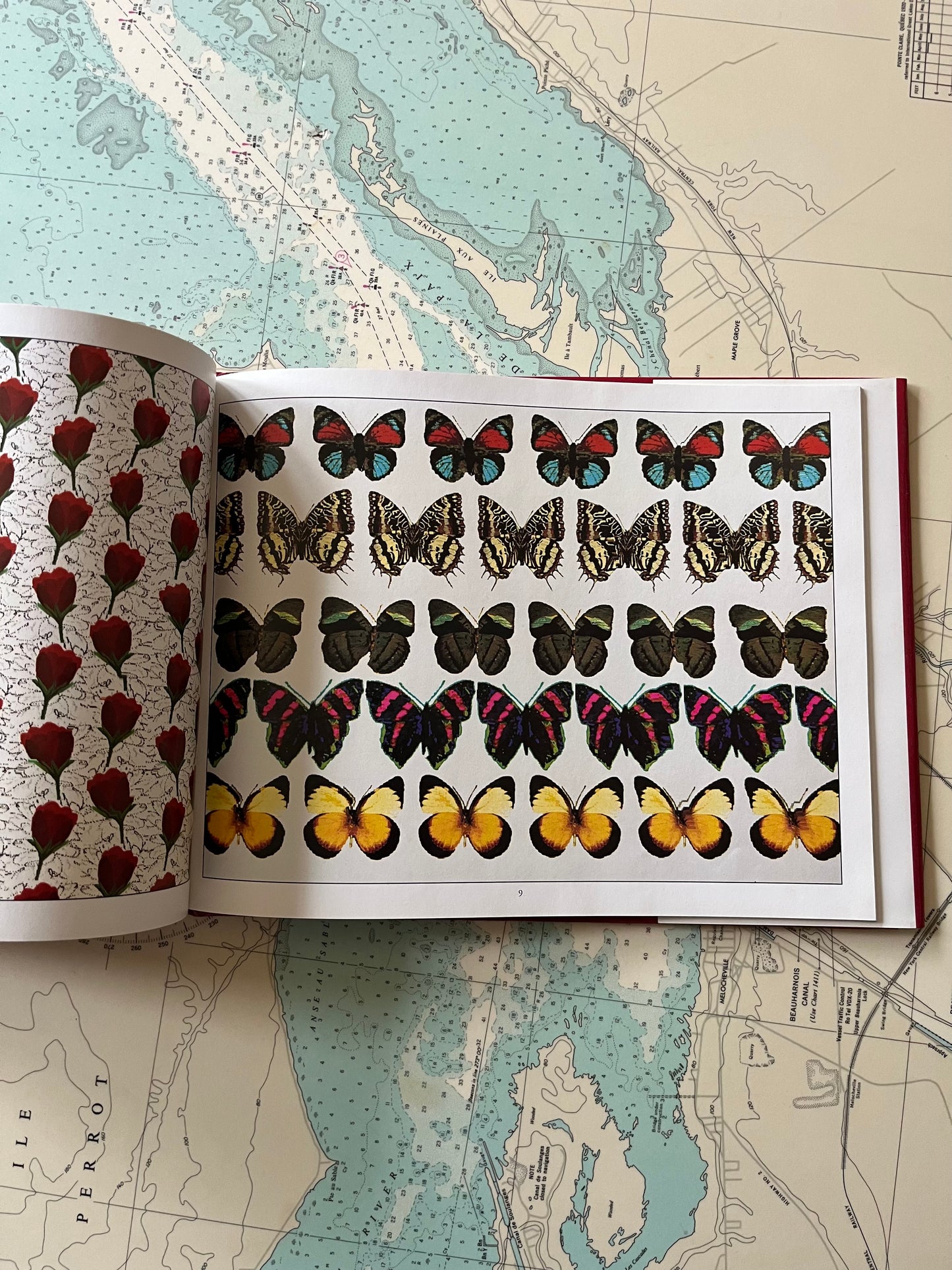 Vintage 1994 Magic Eye : A New Way of Looking at the World