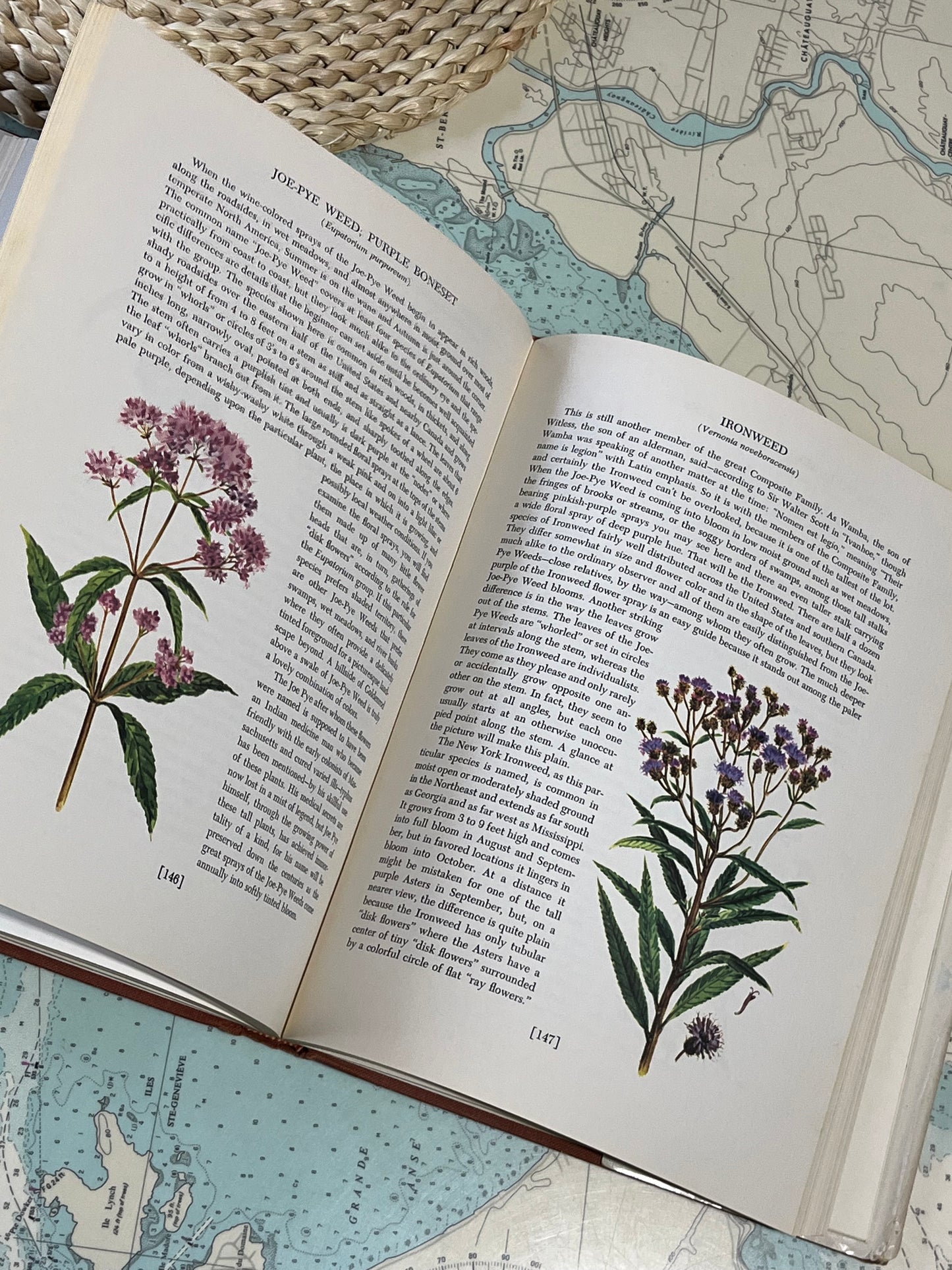 Vintage 1955 An Introduction to Nature by John Kieran