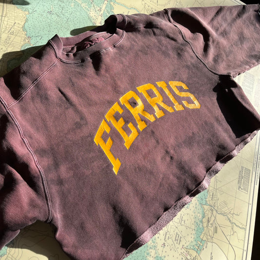 Vintage Ferris Distressed & Cropped Sweatshirt