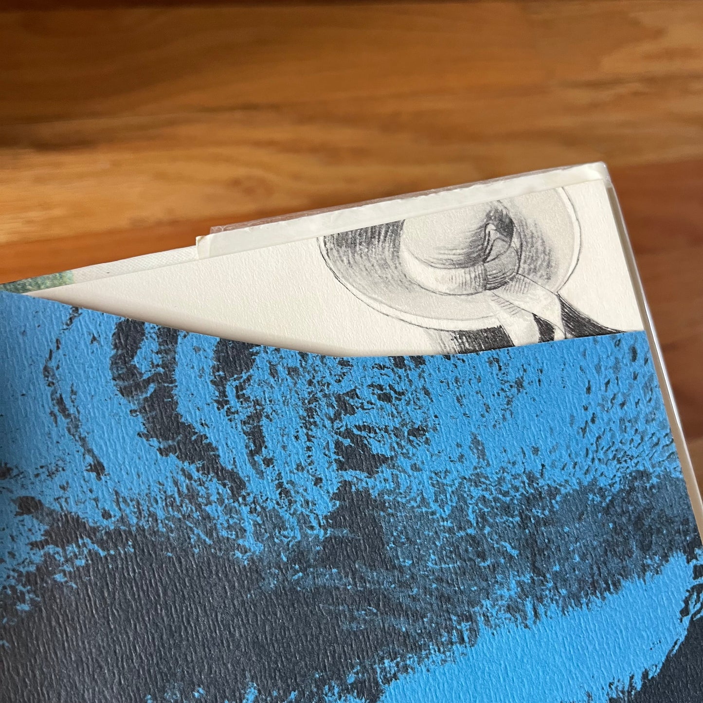 Vintage Roald Dahl The Magic Finger Hardcover Book