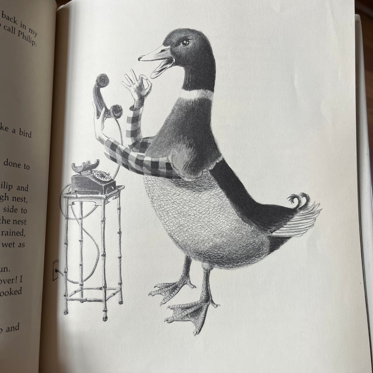 Vintage Roald Dahl The Magic Finger Hardcover Book