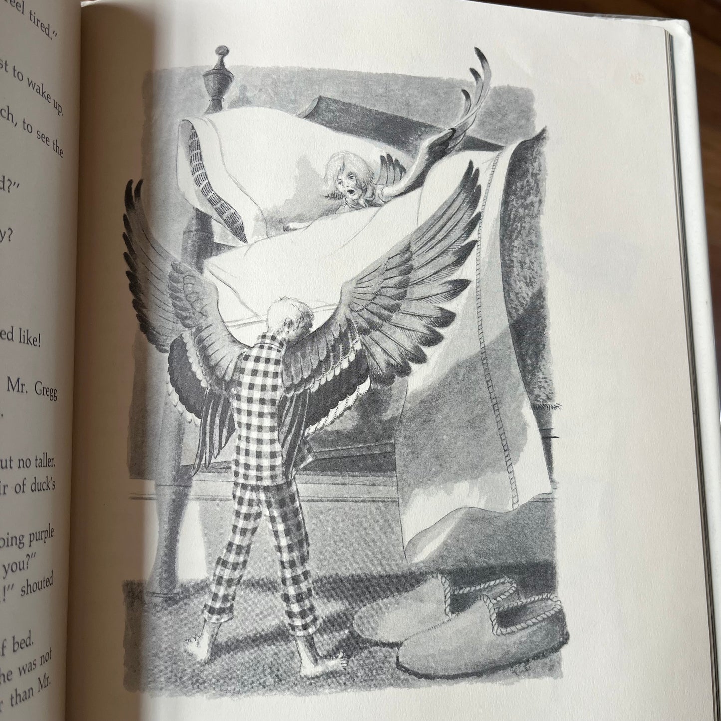 Vintage Roald Dahl The Magic Finger Hardcover Book