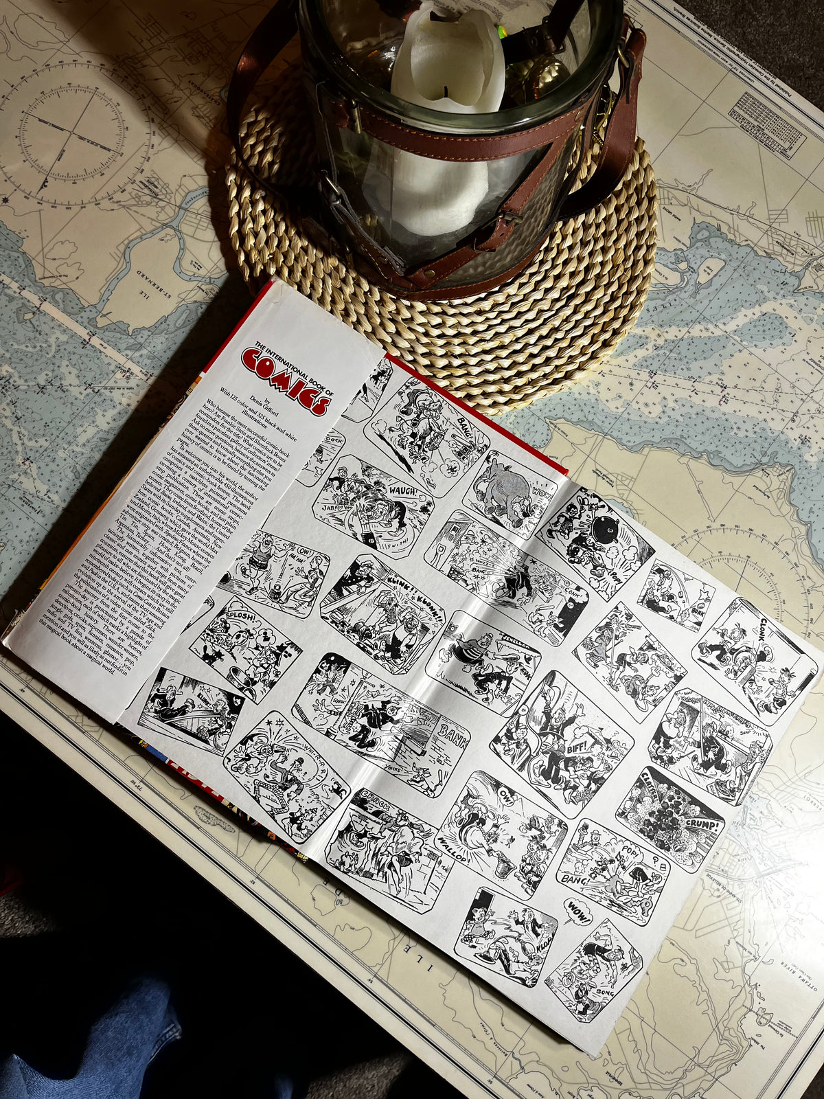 Vintage 1984 The International Book of Comics by Denis Gifford