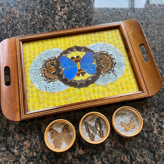 Vintage 40s Brazillian Butterfly Inlay Tray with Bamboo Coasters