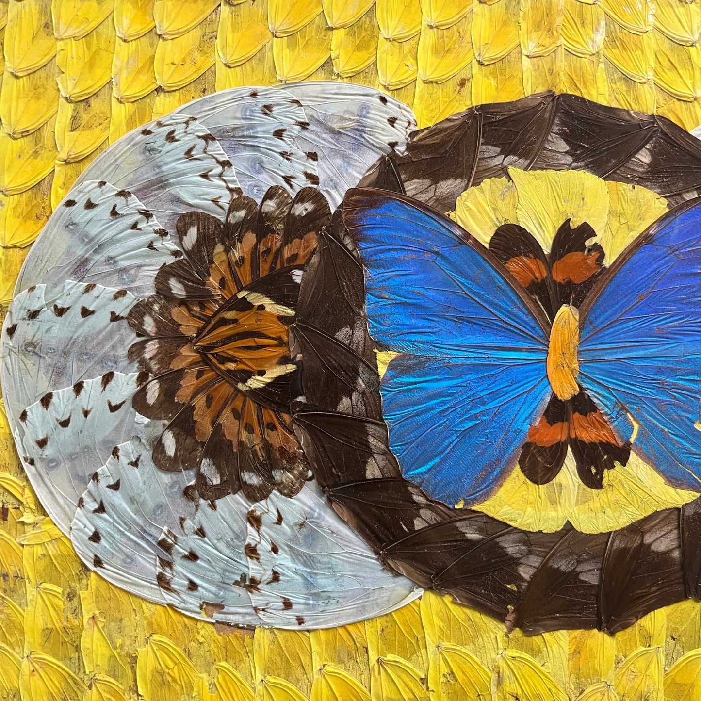 Vintage 40s Brazillian Butterfly Inlay Tray with Bamboo Coasters