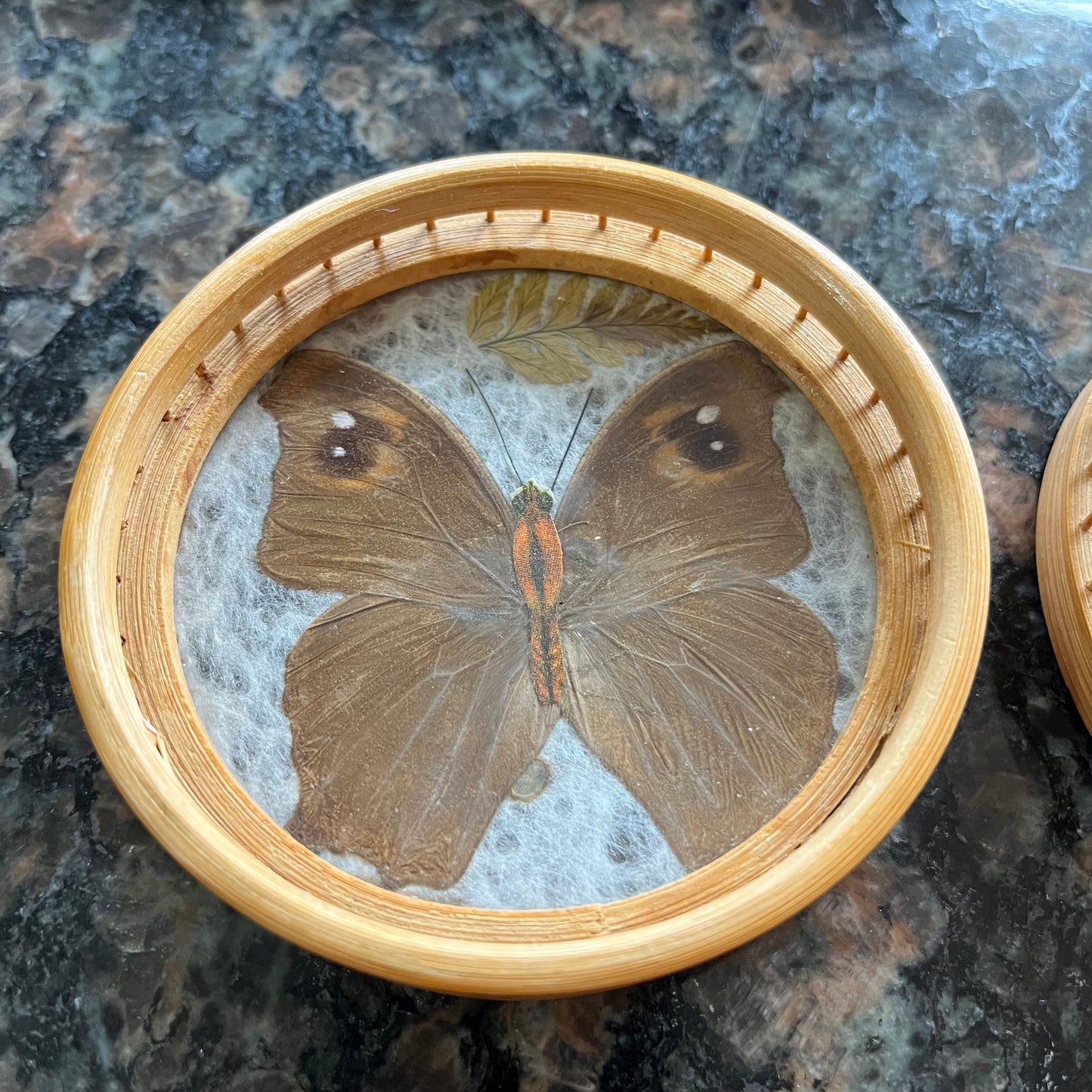 Vintage 40s Brazillian Butterfly Inlay Tray with Bamboo Coasters