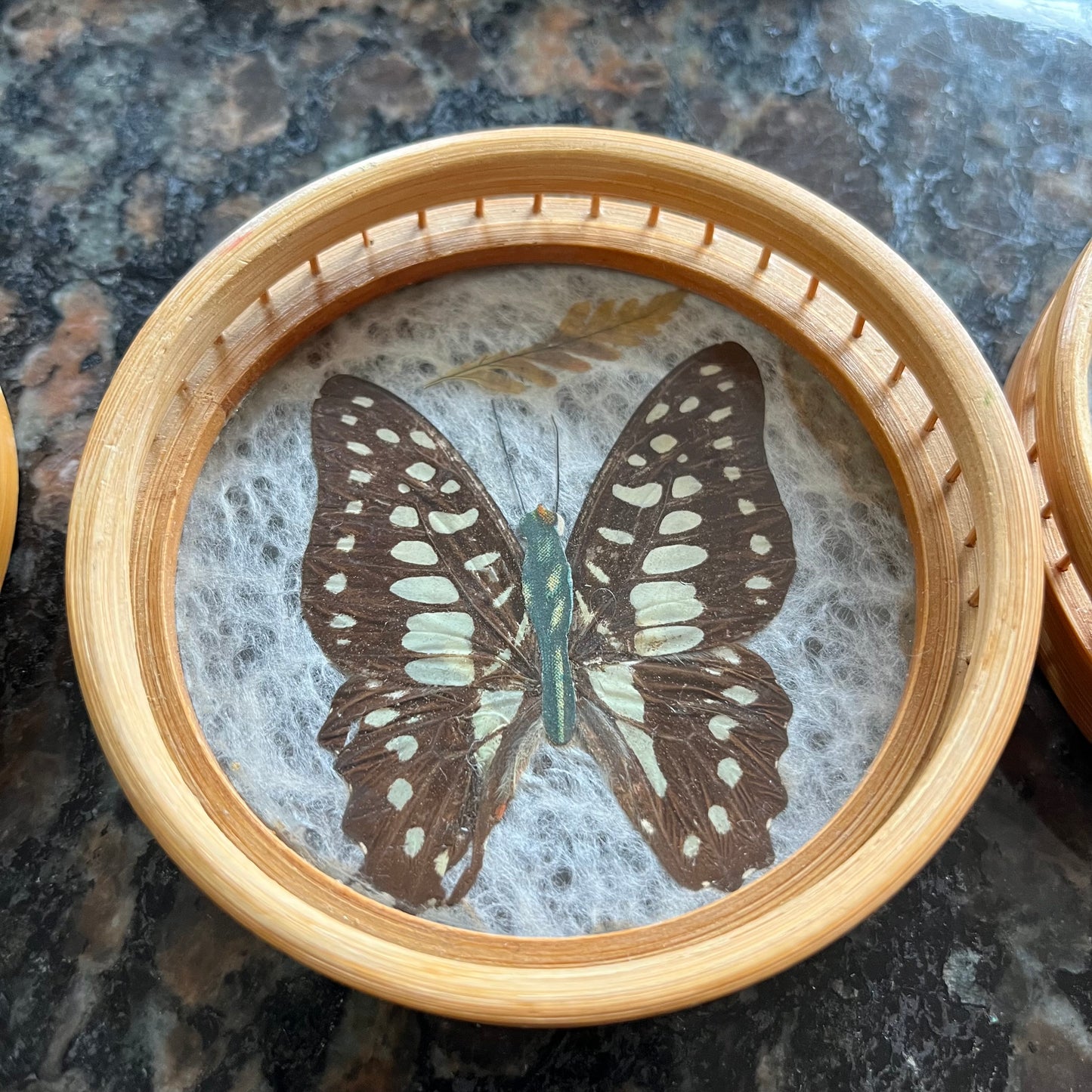 Vintage 40s Brazillian Butterfly Inlay Tray with Bamboo Coasters