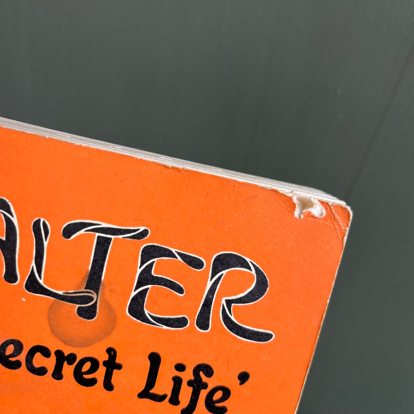 Vintage 1967 Walter 'My Secret Life' Softcover Book