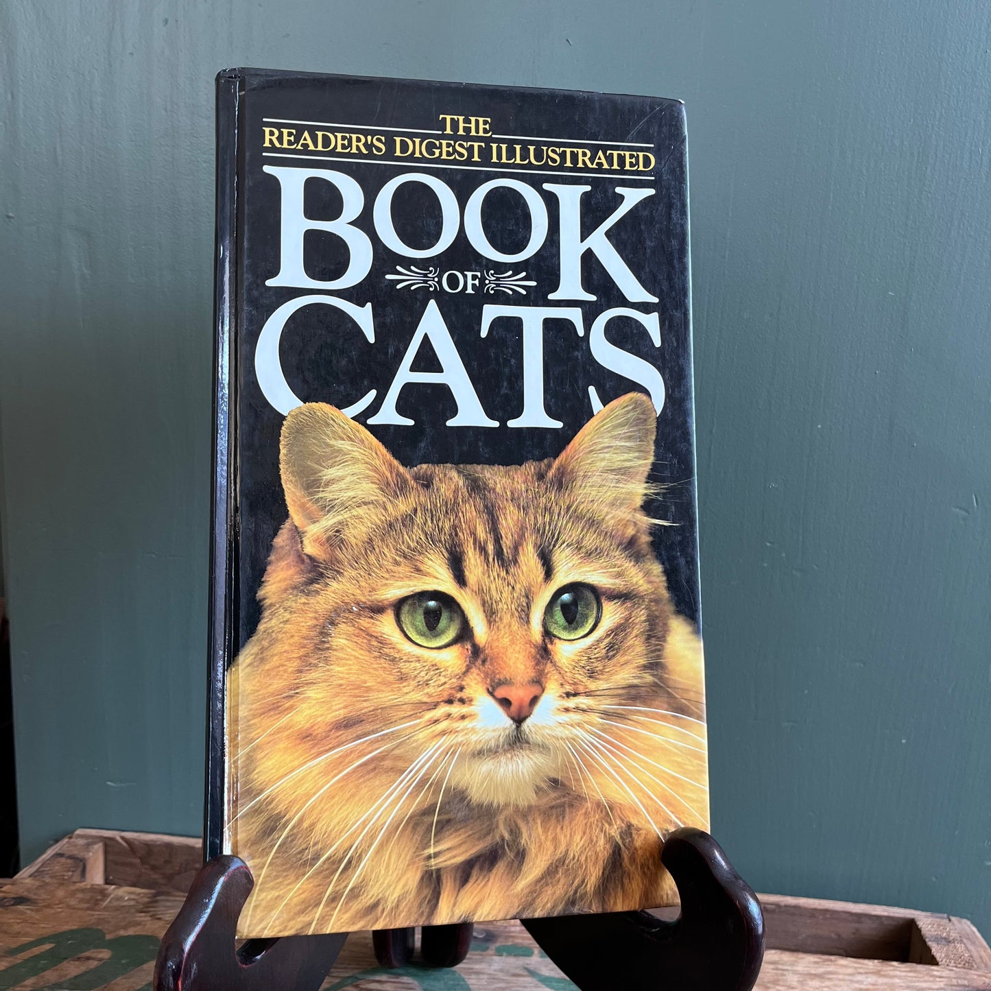 Vintage 1992 Readers Digest Illustrated Book of Cats