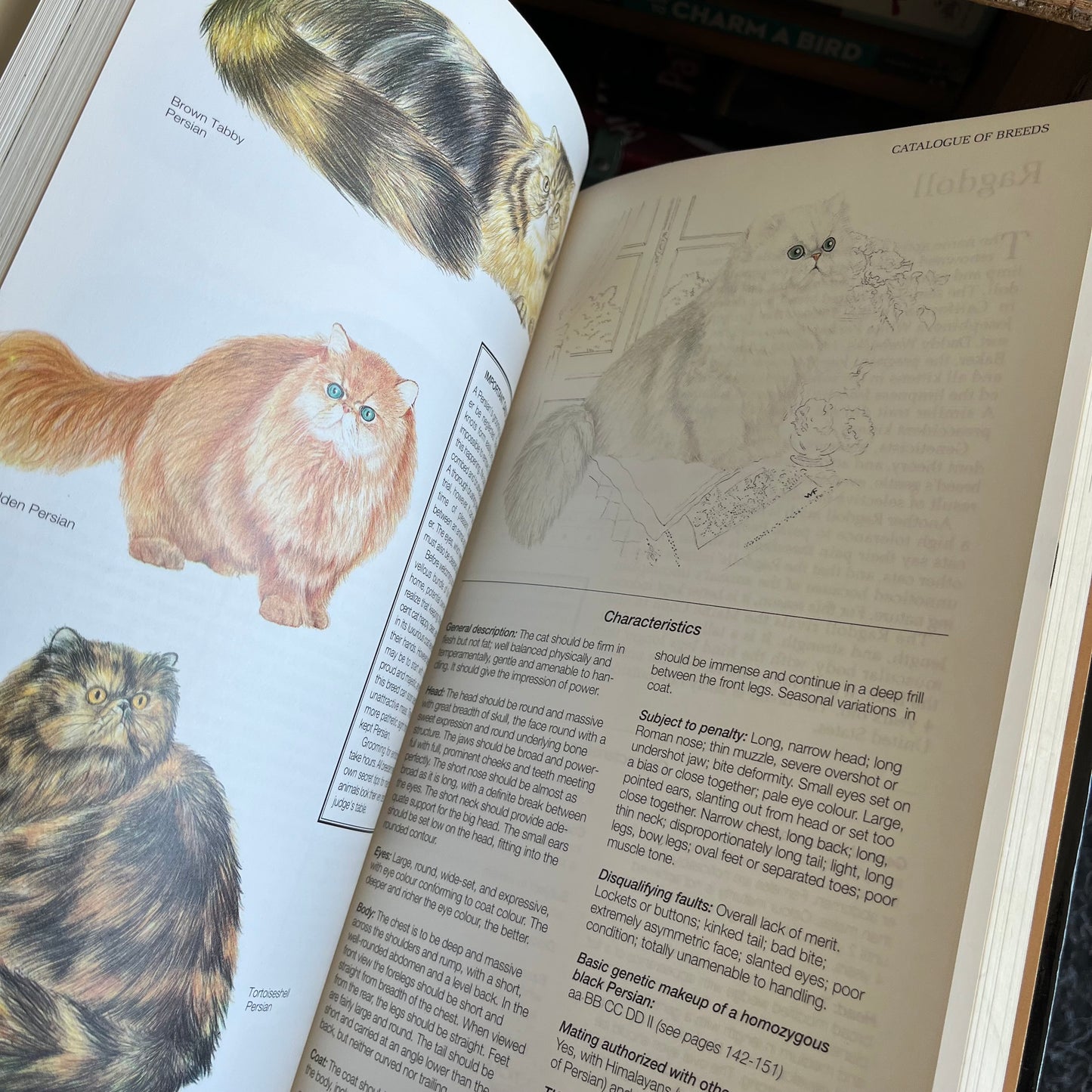 Vintage 1992 Readers Digest Illustrated Book of Cats