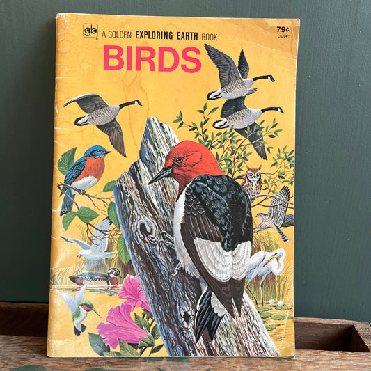 Vintage 1973 A Golden Exploring Earth Book Birds