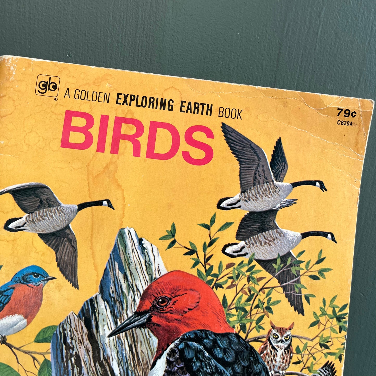 Vintage 1973 A Golden Exploring Earth Book Birds