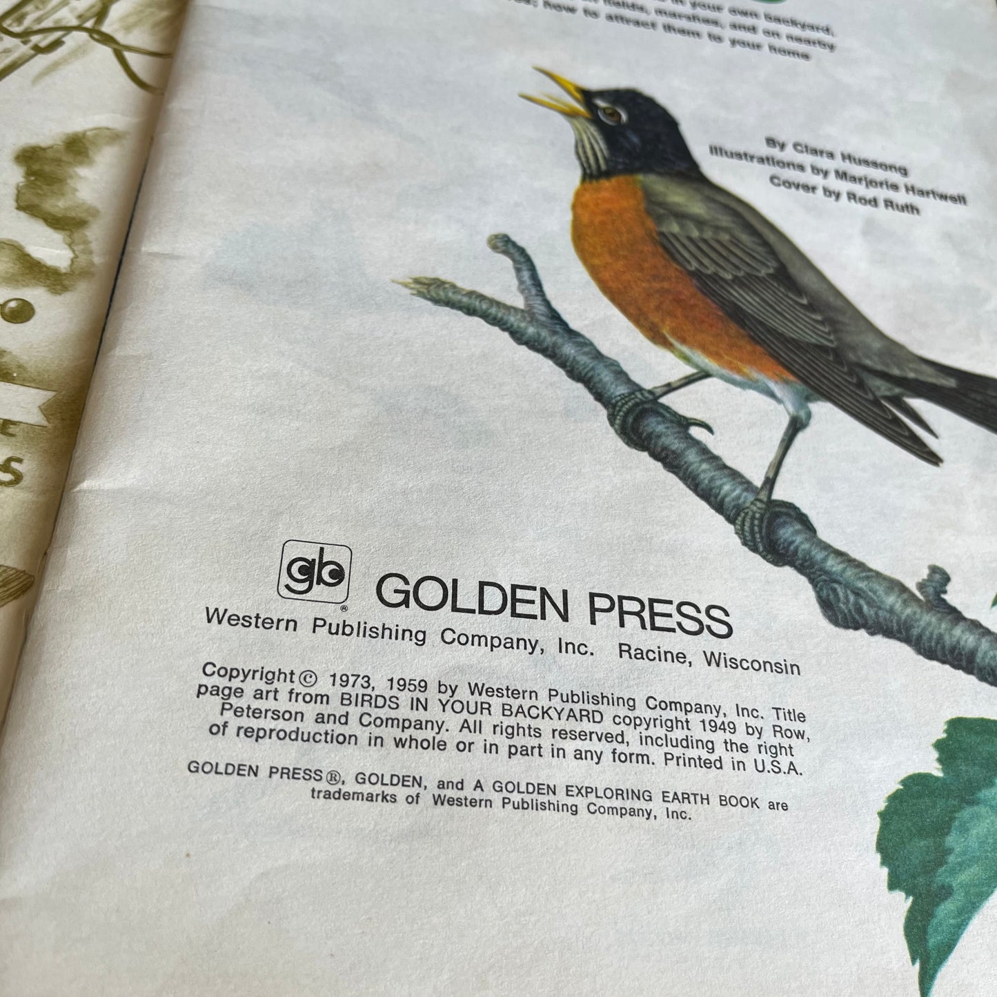 Vintage 1973 A Golden Exploring Earth Book Birds