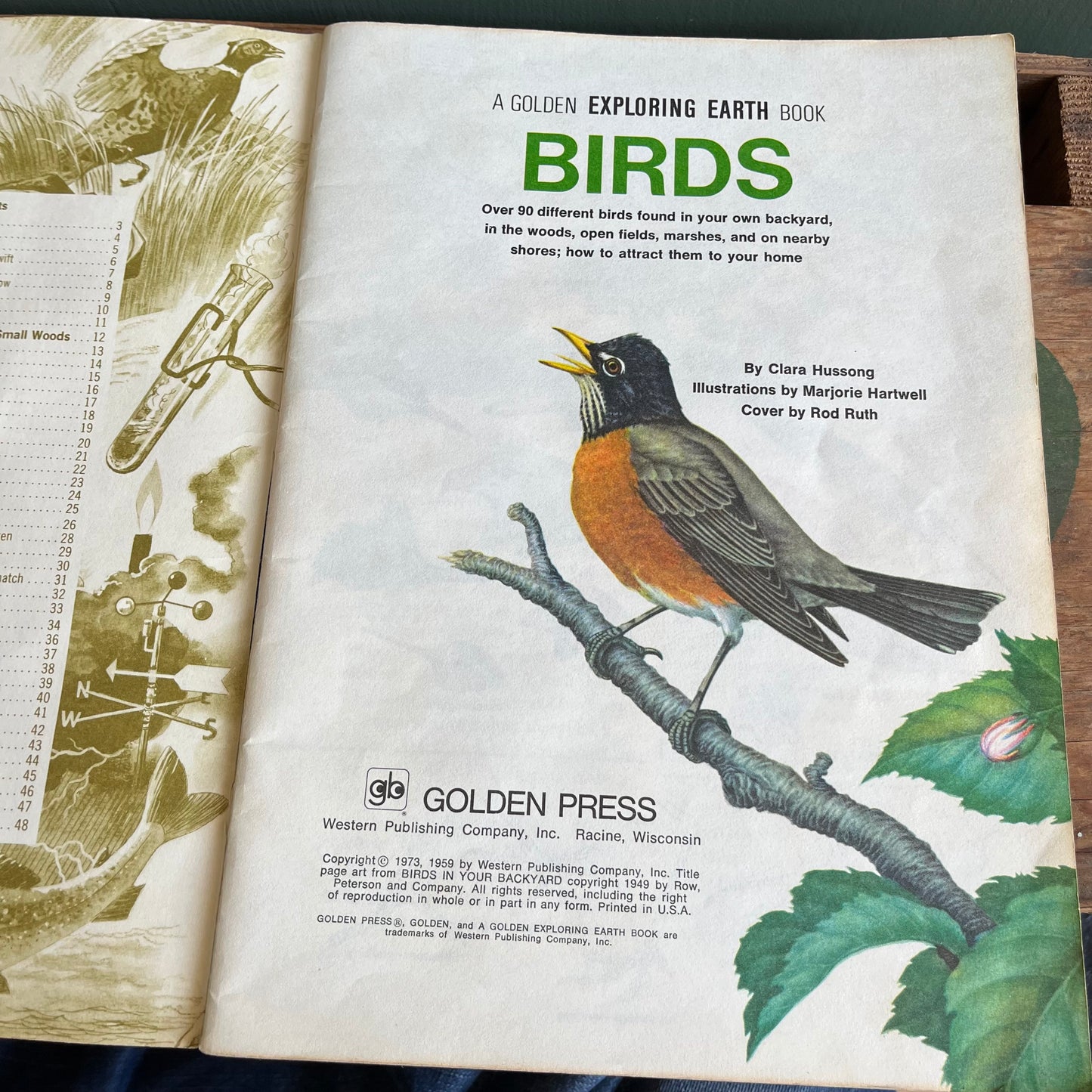 Vintage 1973 A Golden Exploring Earth Book Birds