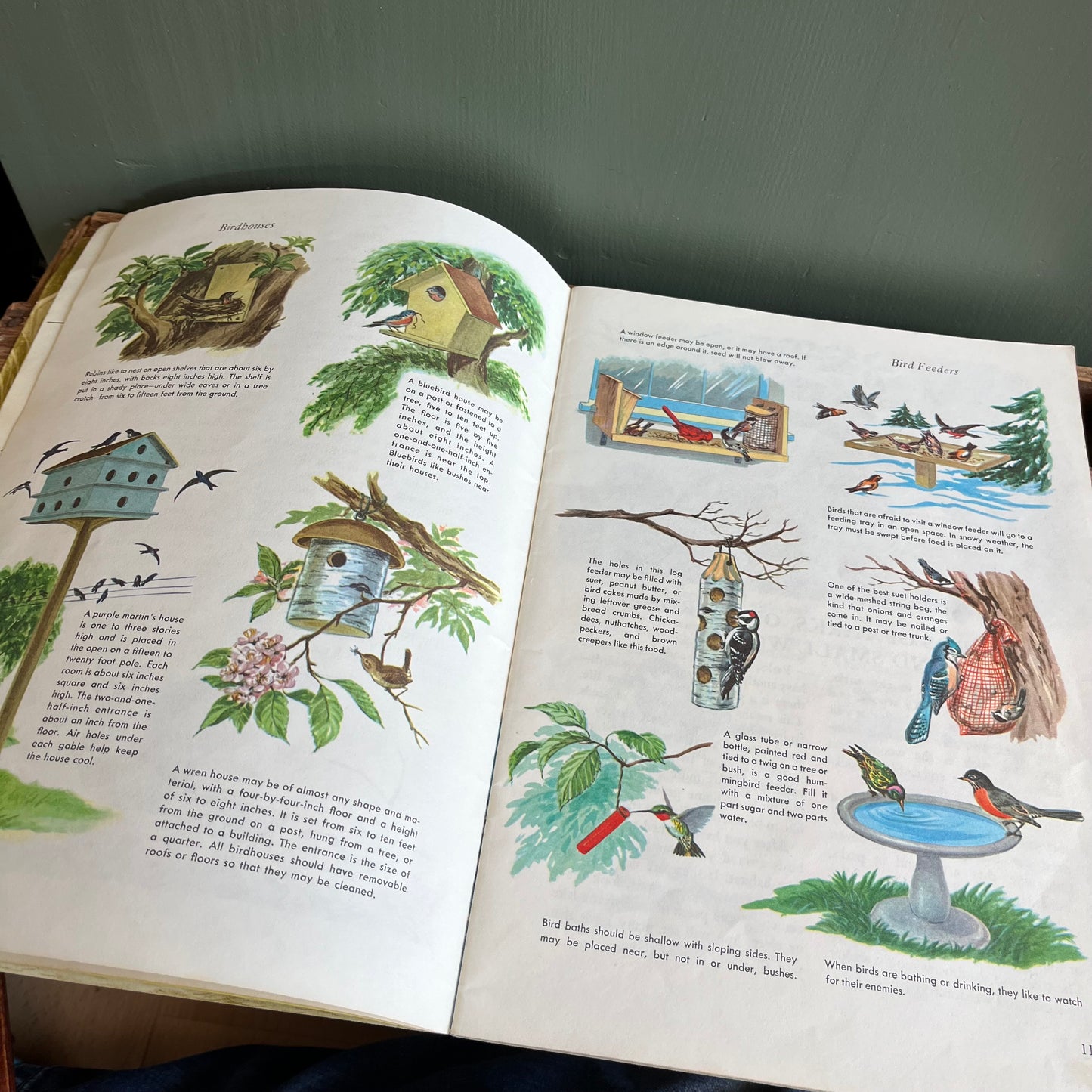 Vintage 1973 A Golden Exploring Earth Book Birds