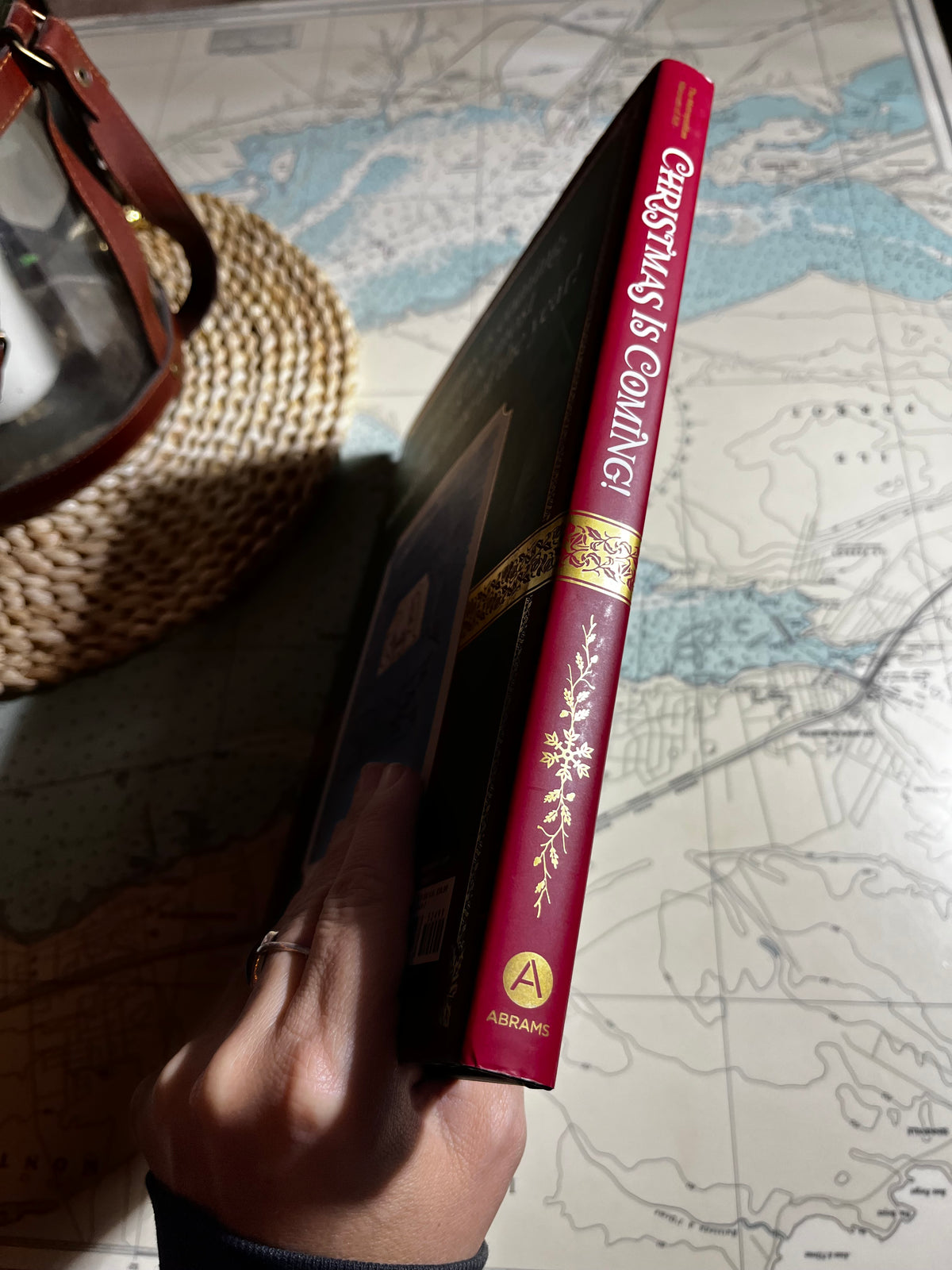 2019 MOMA Christmas Is Coming Hardcover Book