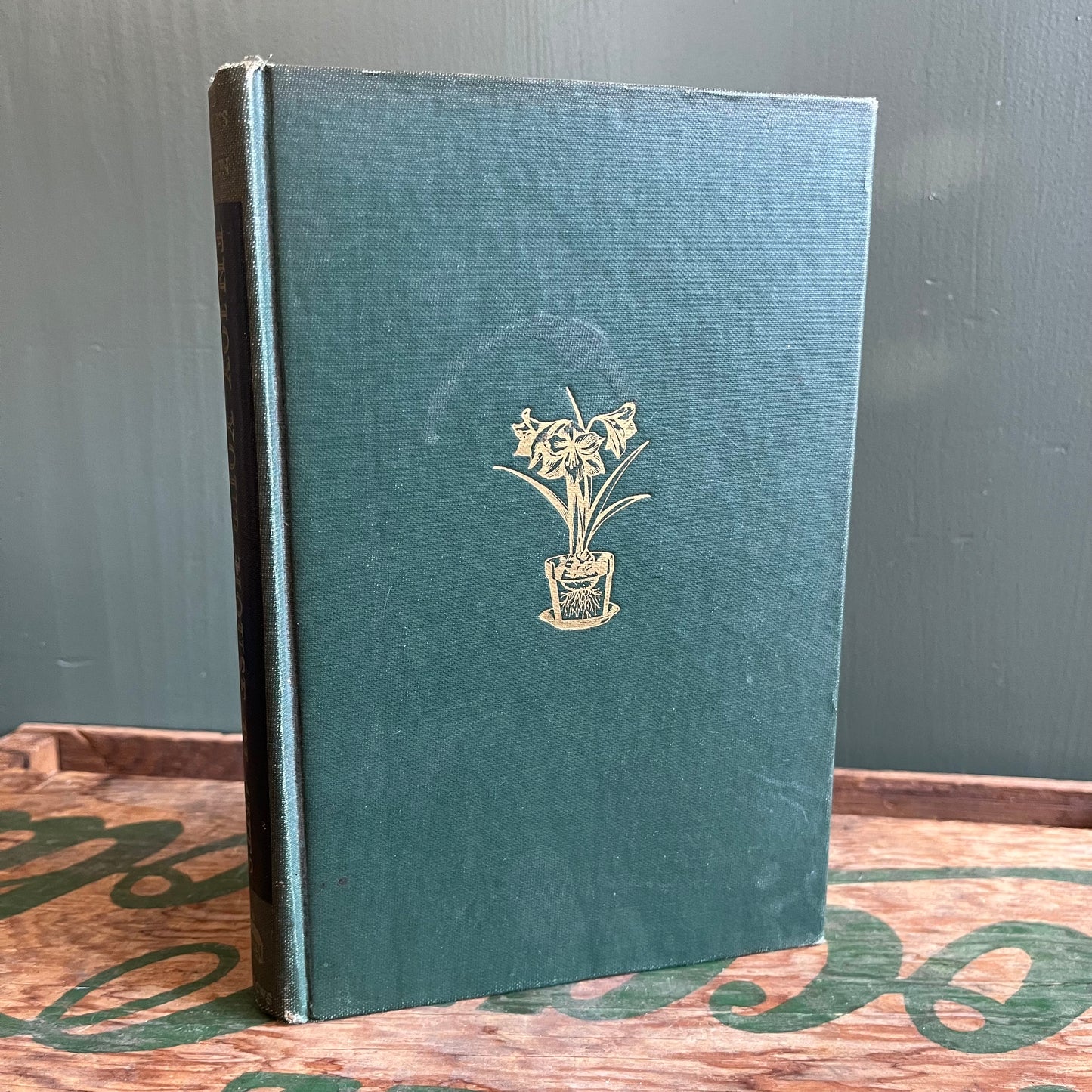 Vintage 1944 Enjoy Your Houseplants Hardcover Book