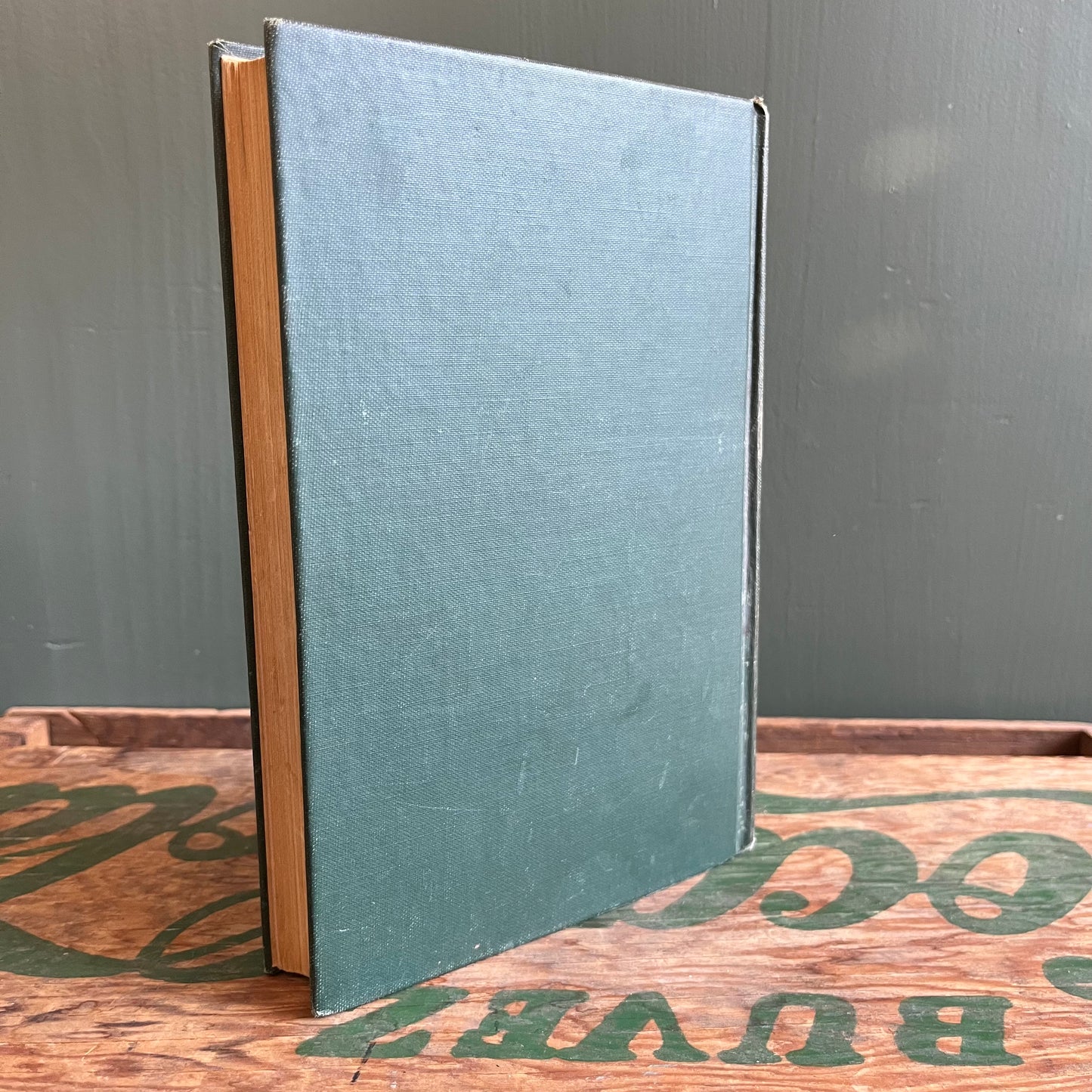 Vintage 1944 Enjoy Your Houseplants Hardcover Book