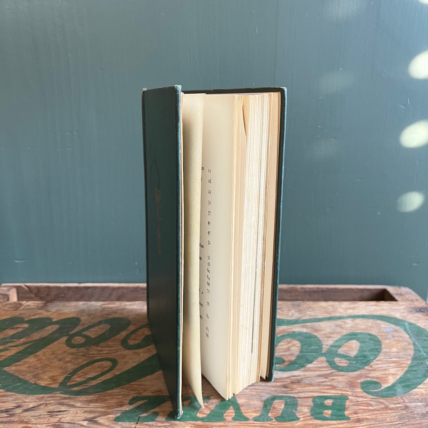 Vintage 1944 Enjoy Your Houseplants Hardcover Book