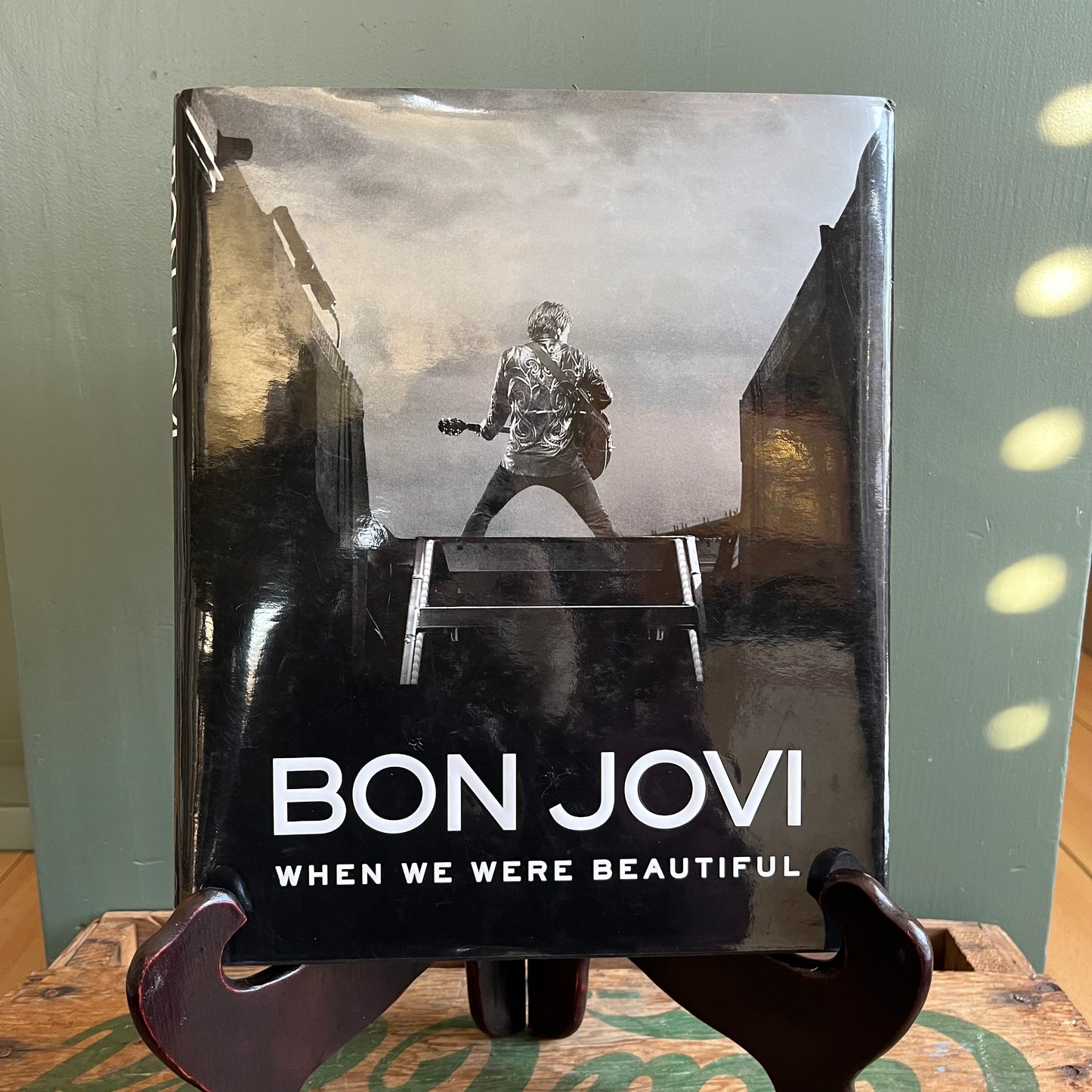 2009 Bon Jovi When We Were Beautiful Hardcover Book