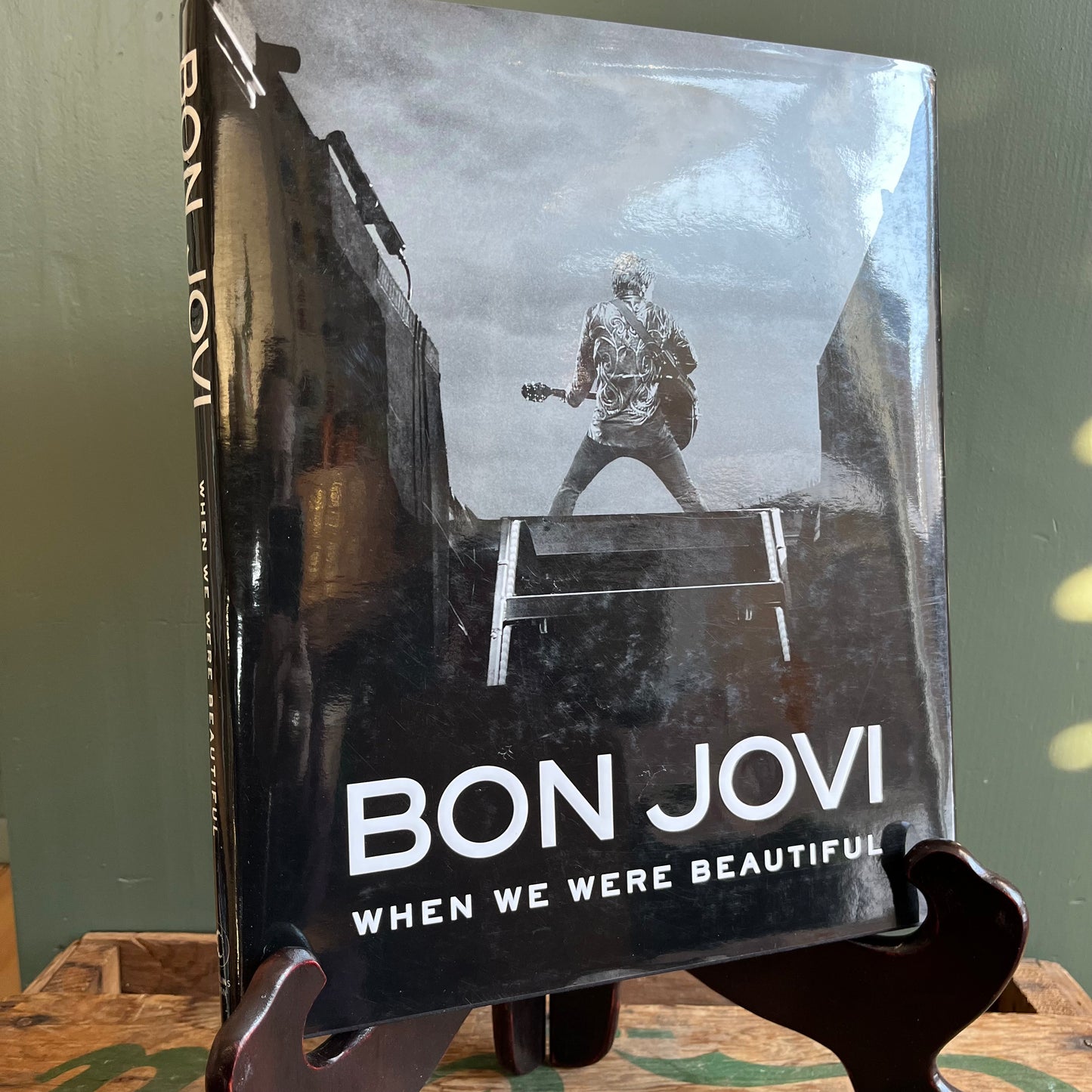 2009 Bon Jovi When We Were Beautiful Hardcover Book