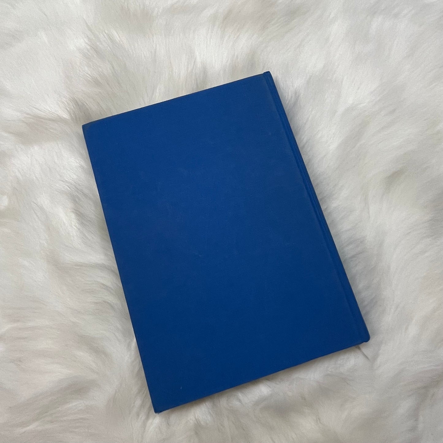 The New York Times Explorer Beaches, Islands & Coasts