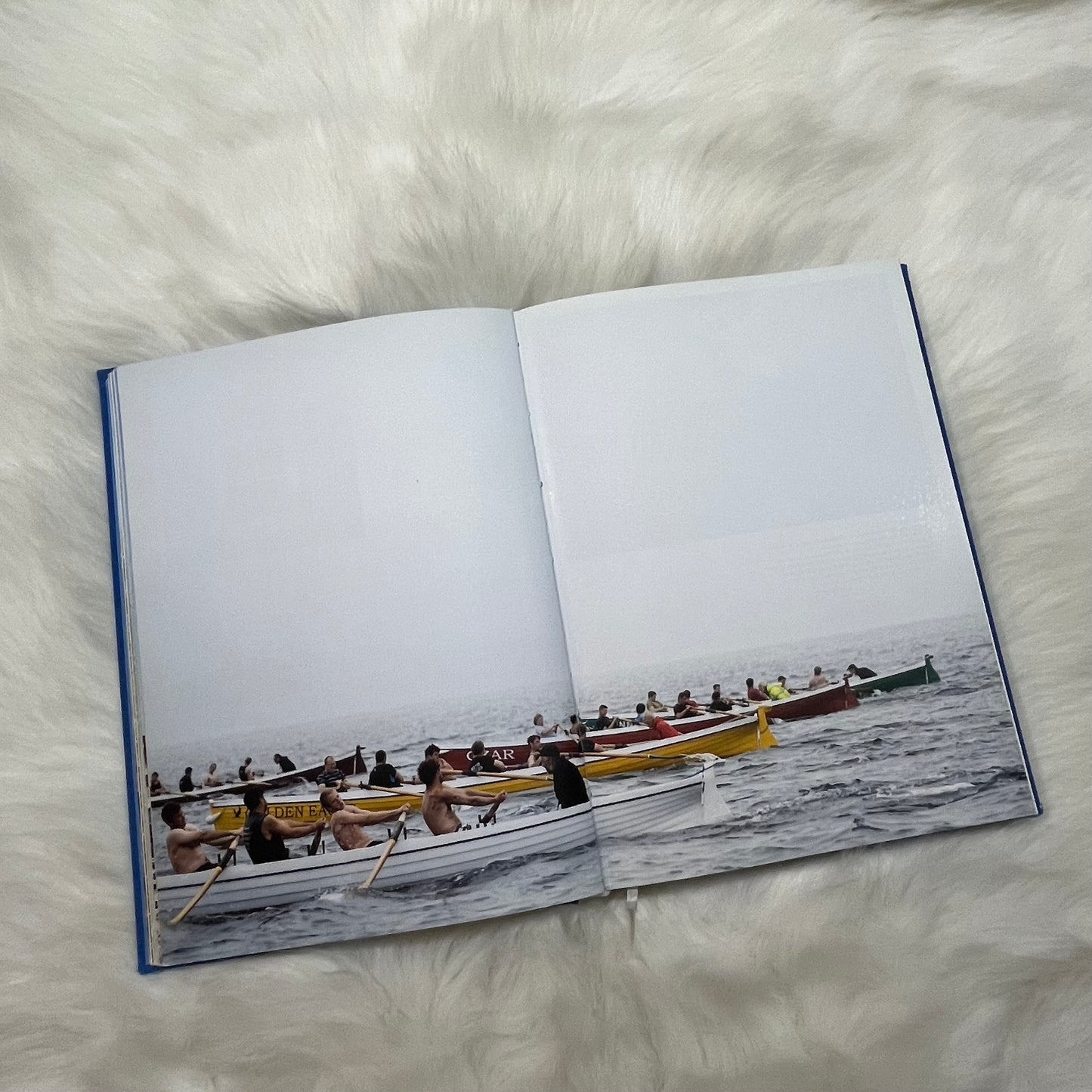 The New York Times Explorer Beaches, Islands & Coasts