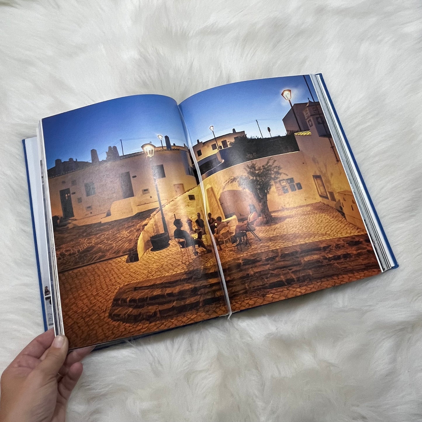 The New York Times Explorer Beaches, Islands & Coasts