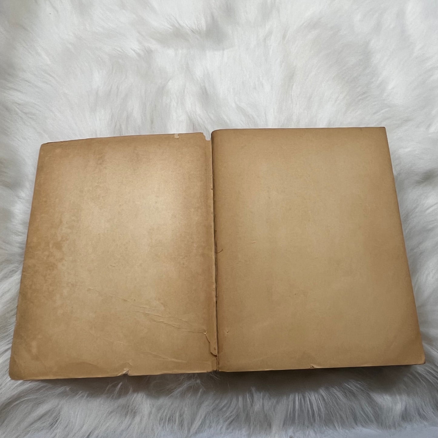 Vintage 1897 Sears Roebuck Consumers Guide Catalog 1968 Reprint