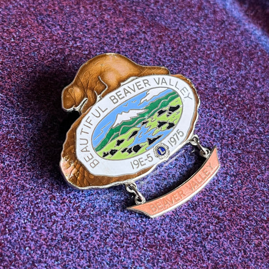 Vintage 1975 Beautiful Beaver Valley Pin