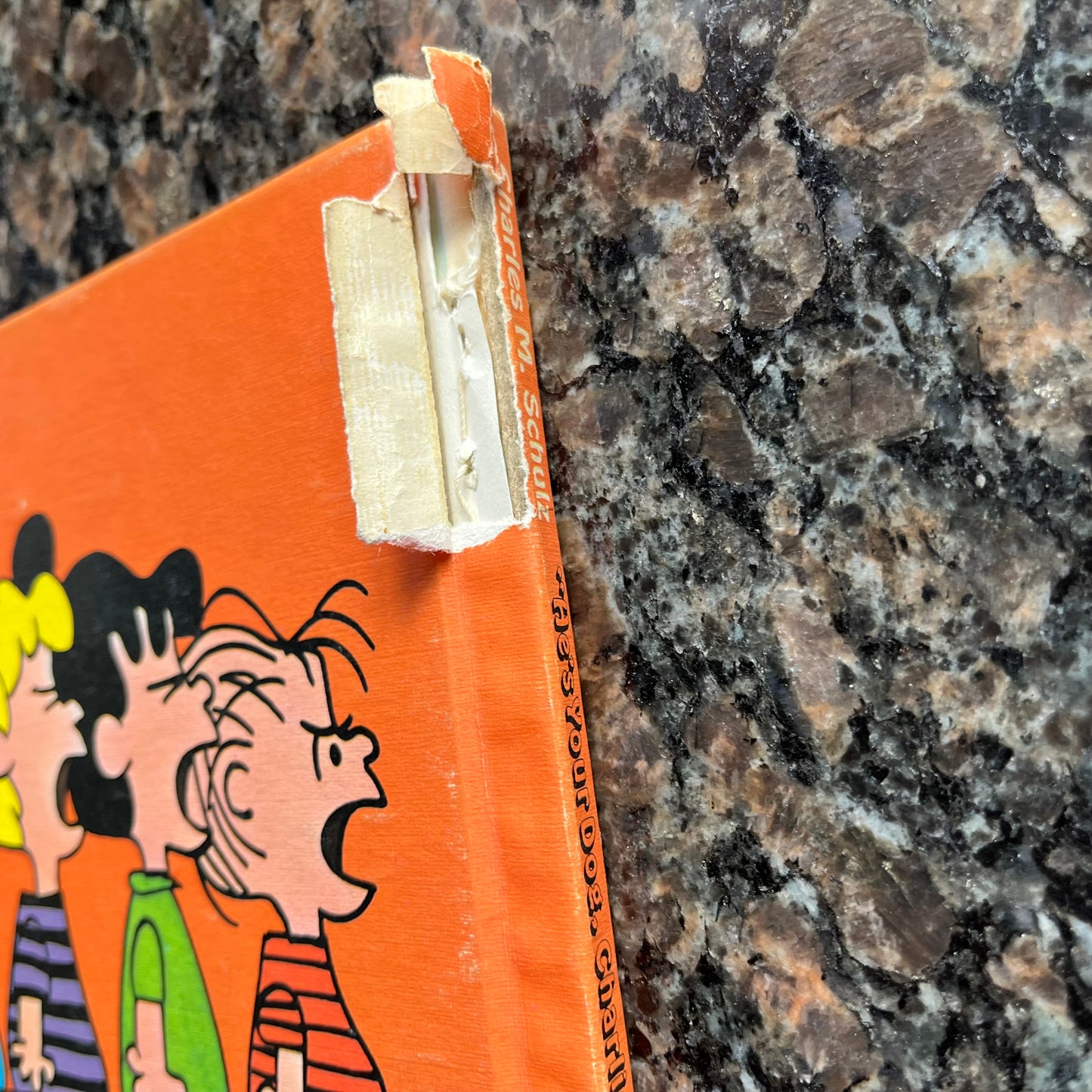 Vintage 1968 He's Your Dog, Charlie Brown by Charles M. Schulz