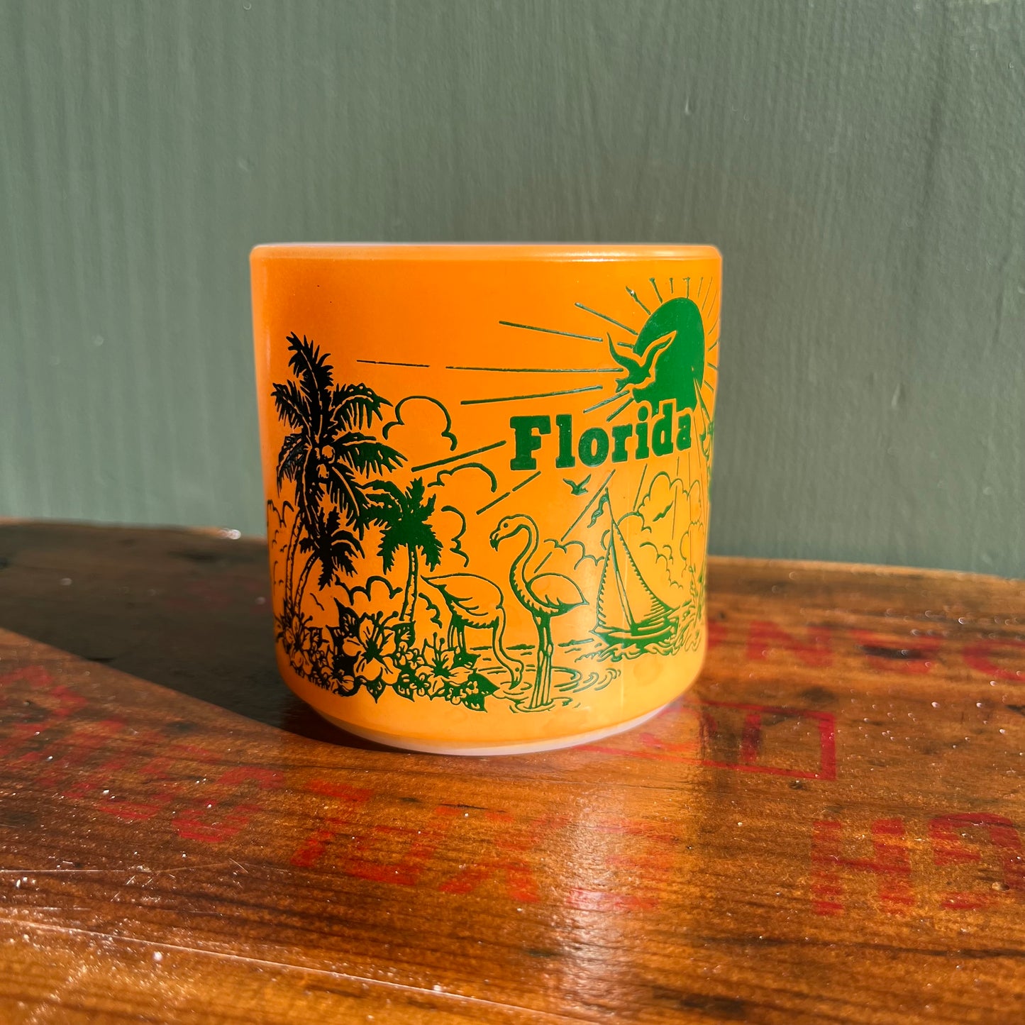 Vintage Florida Tourism Souvenir Milk Glass Federal Mug