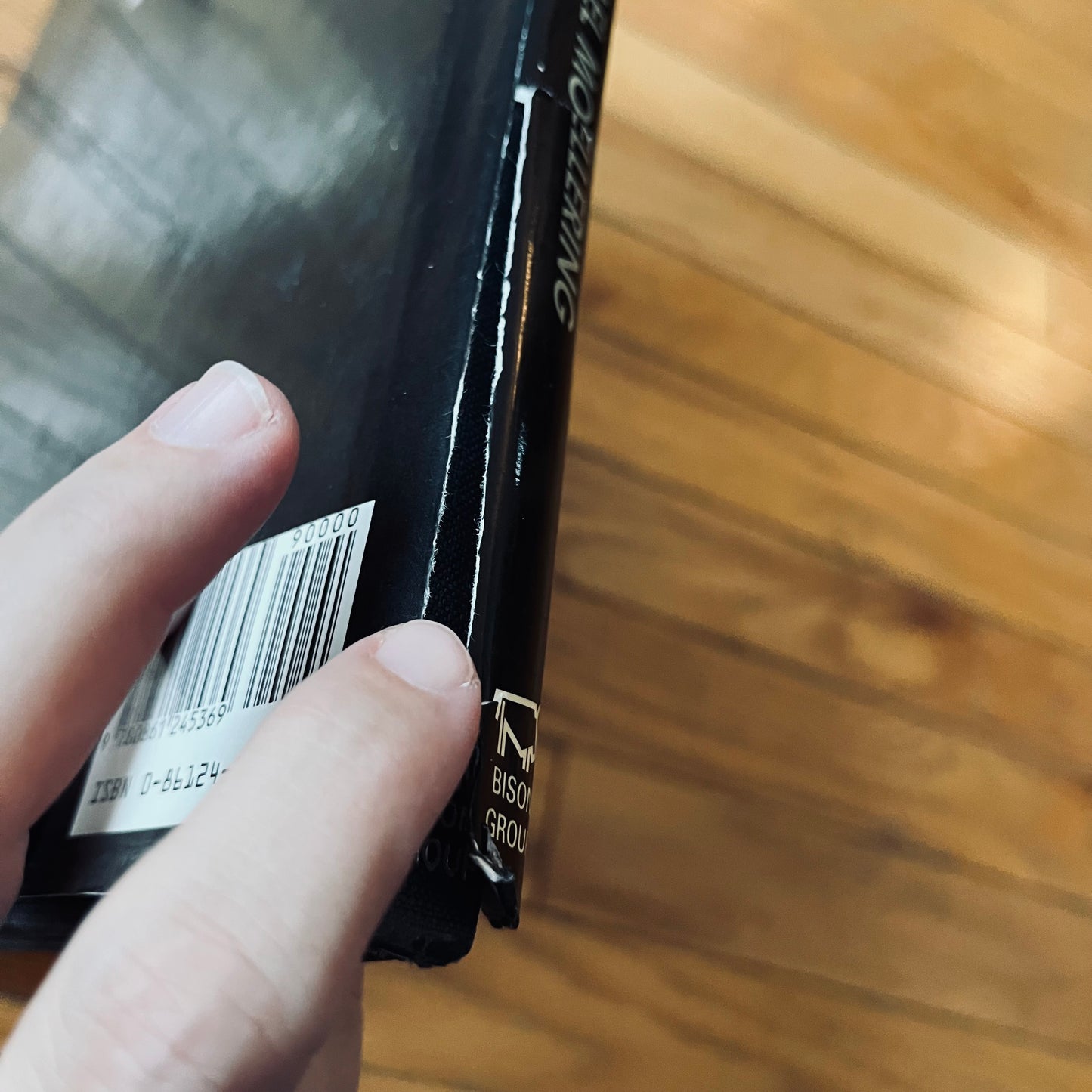 Vintage 1989 Hollywood Goddesses Michael Moellering Hardcover Book