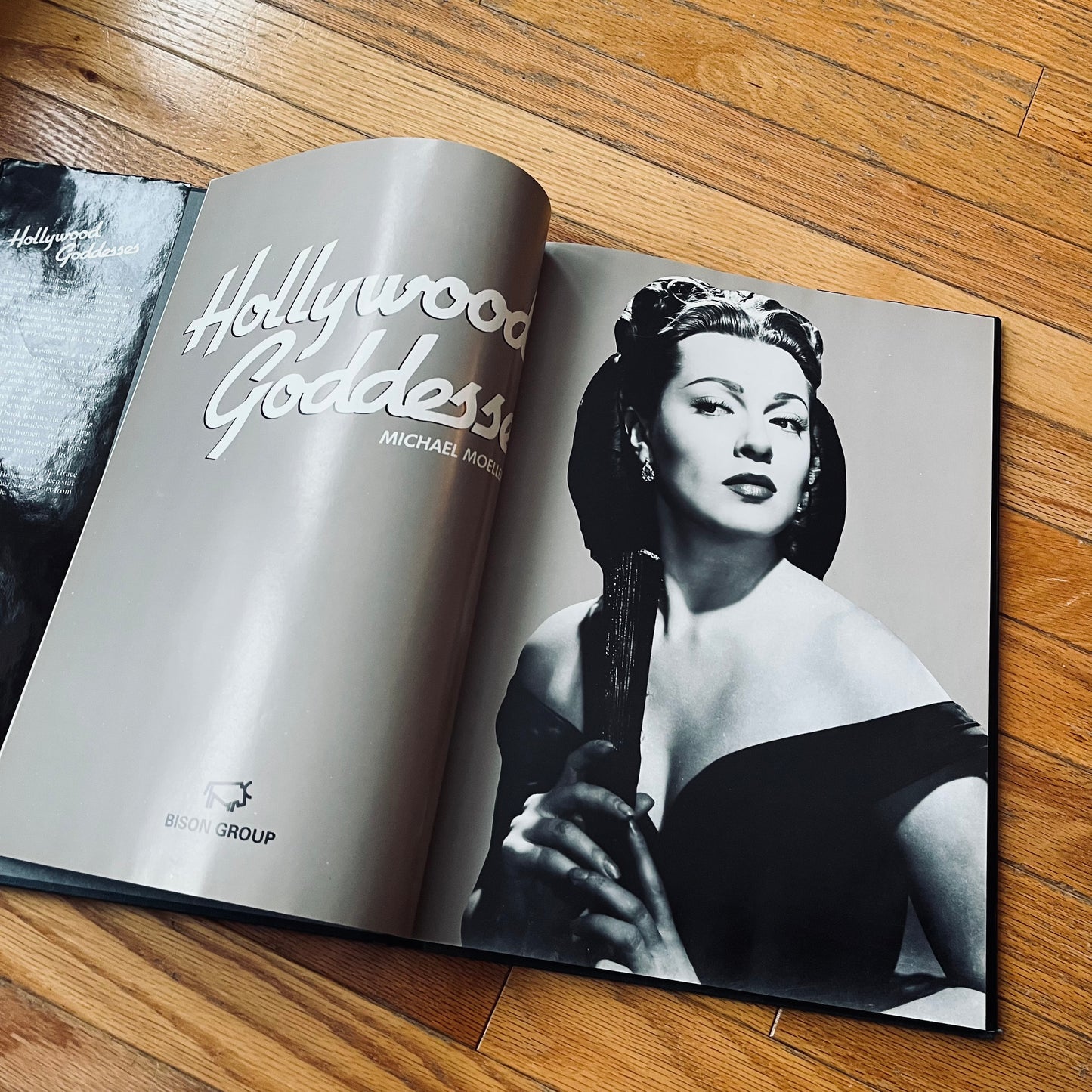 Vintage 1989 Hollywood Goddesses Michael Moellering Hardcover Book