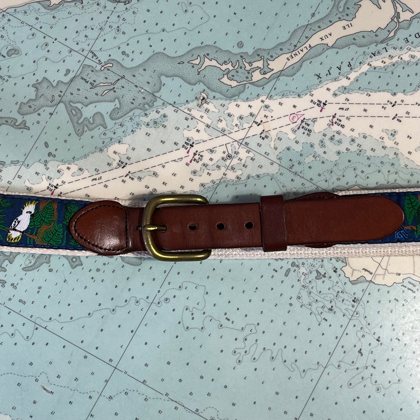 Vintage 90s Tropical Bird Parrot Pattern Belt