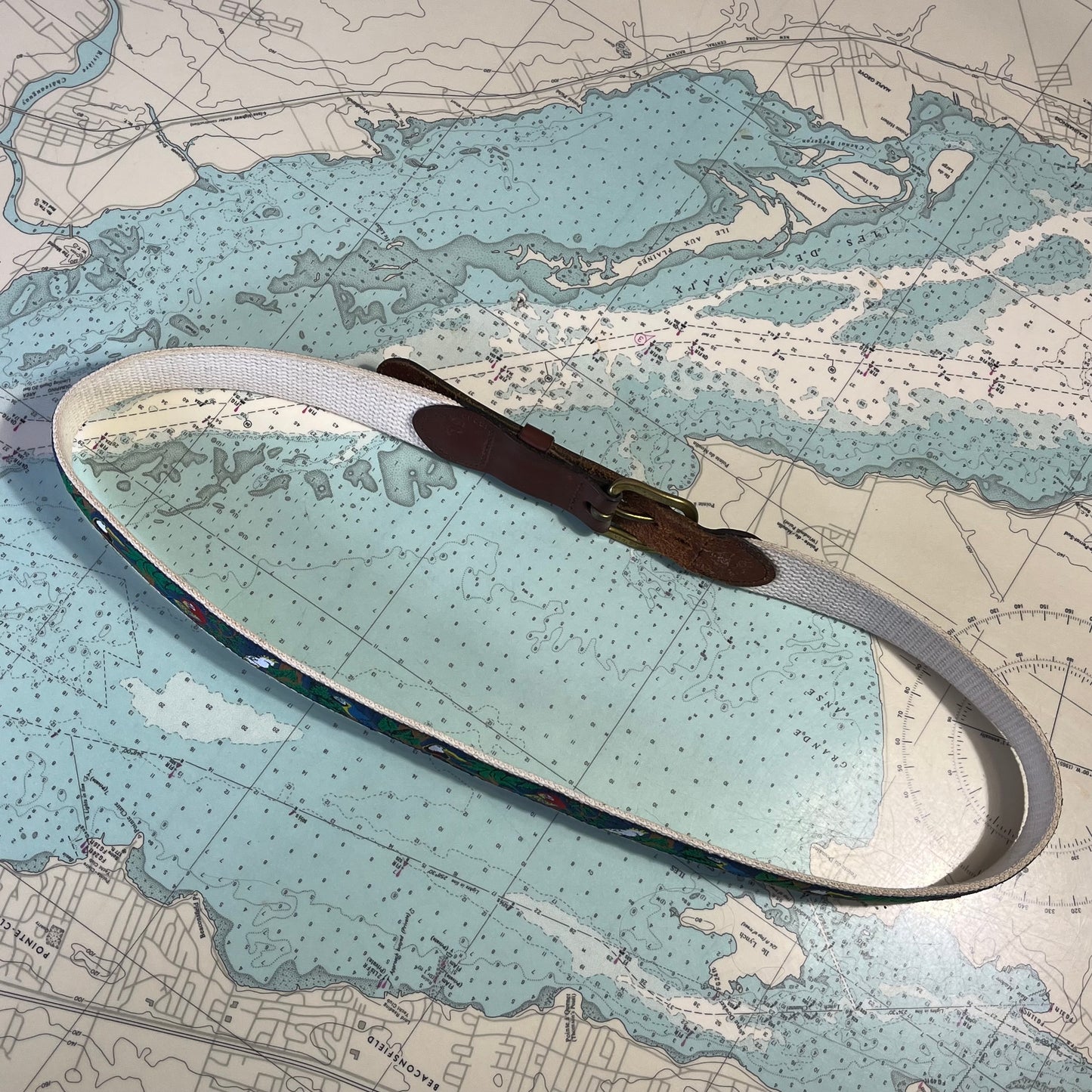 Vintage 90s Tropical Bird Parrot Pattern Belt