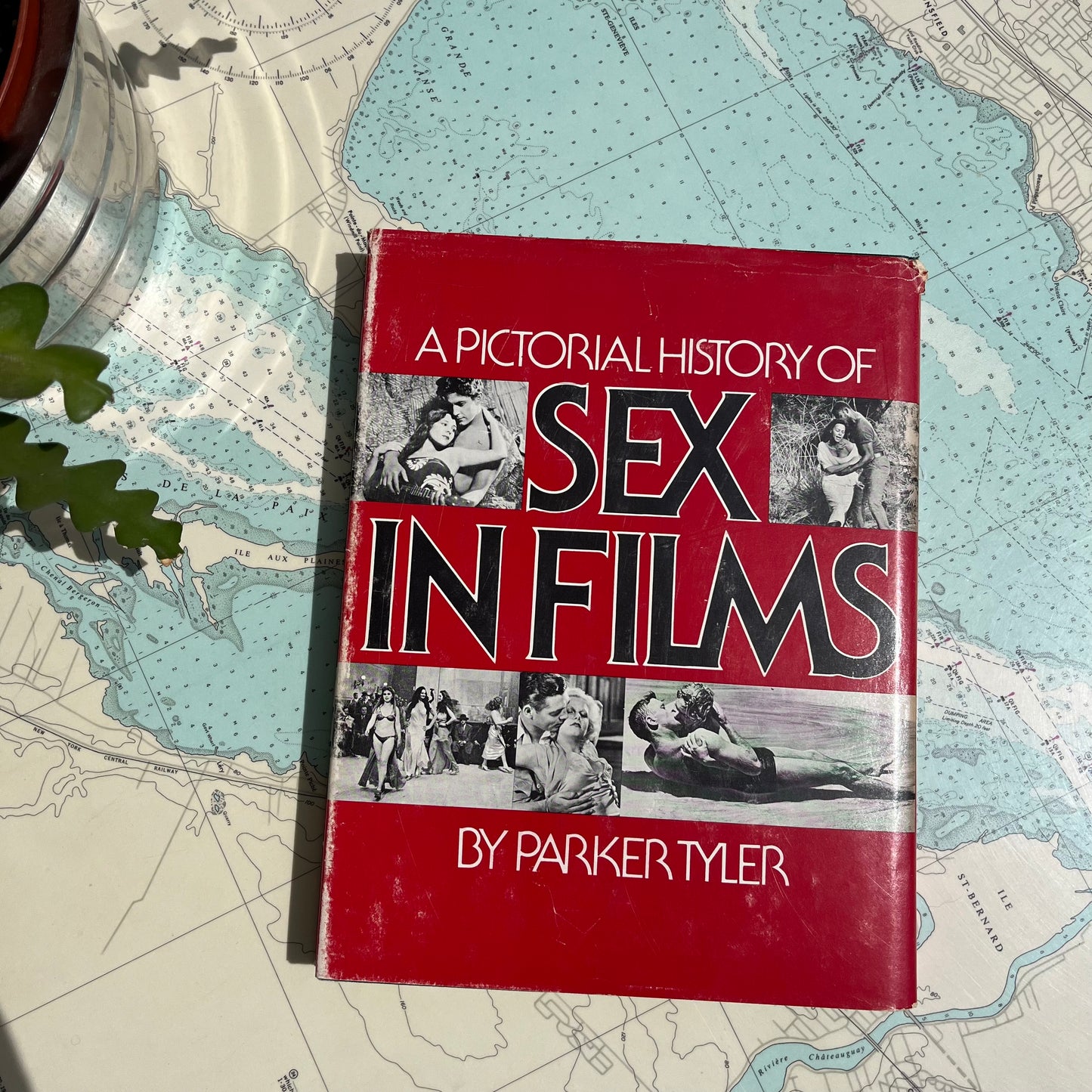 Vintage 1973 A Pictorial History of Sex in Films by Parker Tyler