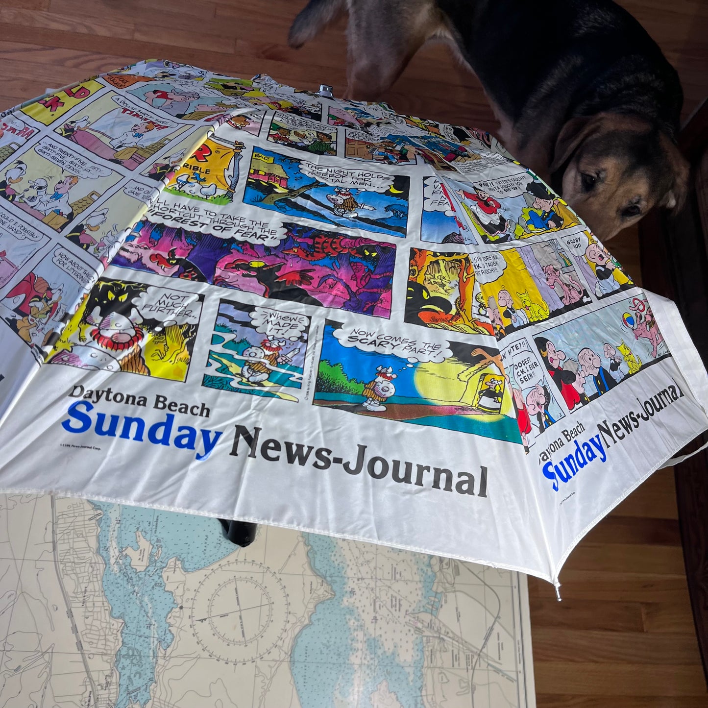 Vintage 1996 Daytona Beach Sunday News Journal Comic Print Umbrella