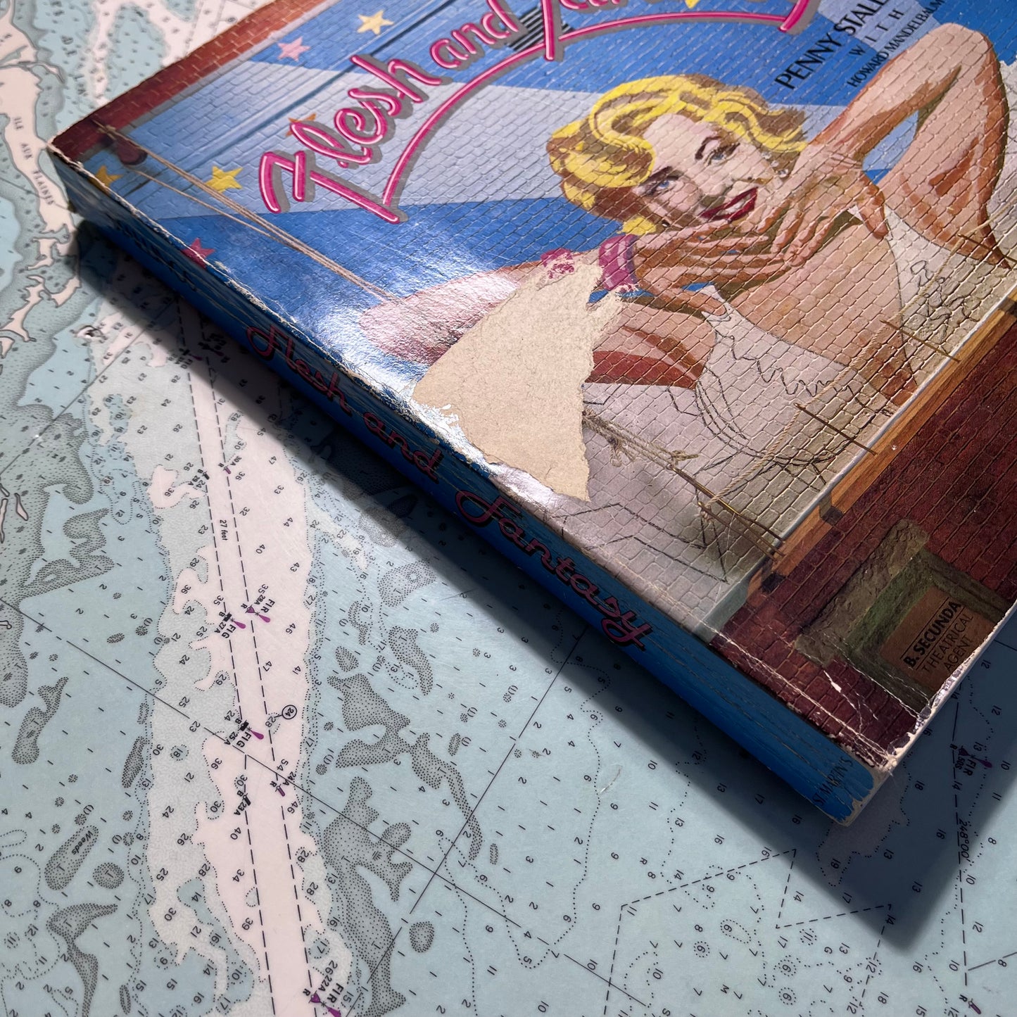 Vintage 1978 Flesh and Fantasy by Penny Stallings