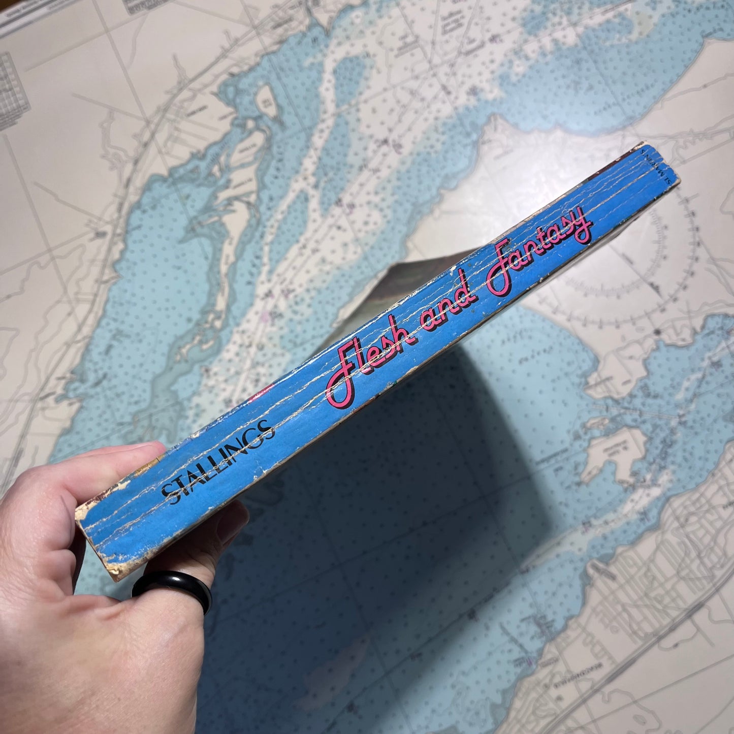 Vintage 1978 Flesh and Fantasy by Penny Stallings