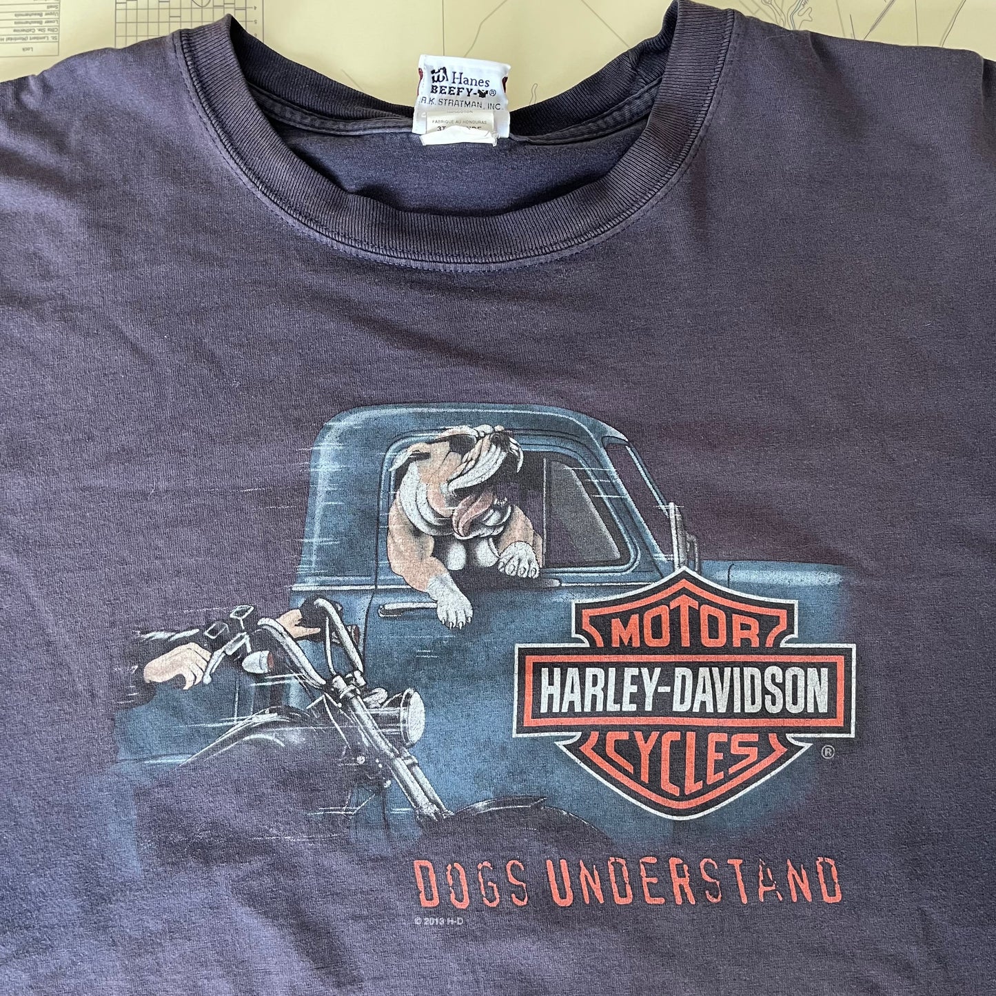 Vintage Harley Davidson Stuart Florida Dogs Understand Graphic Tee