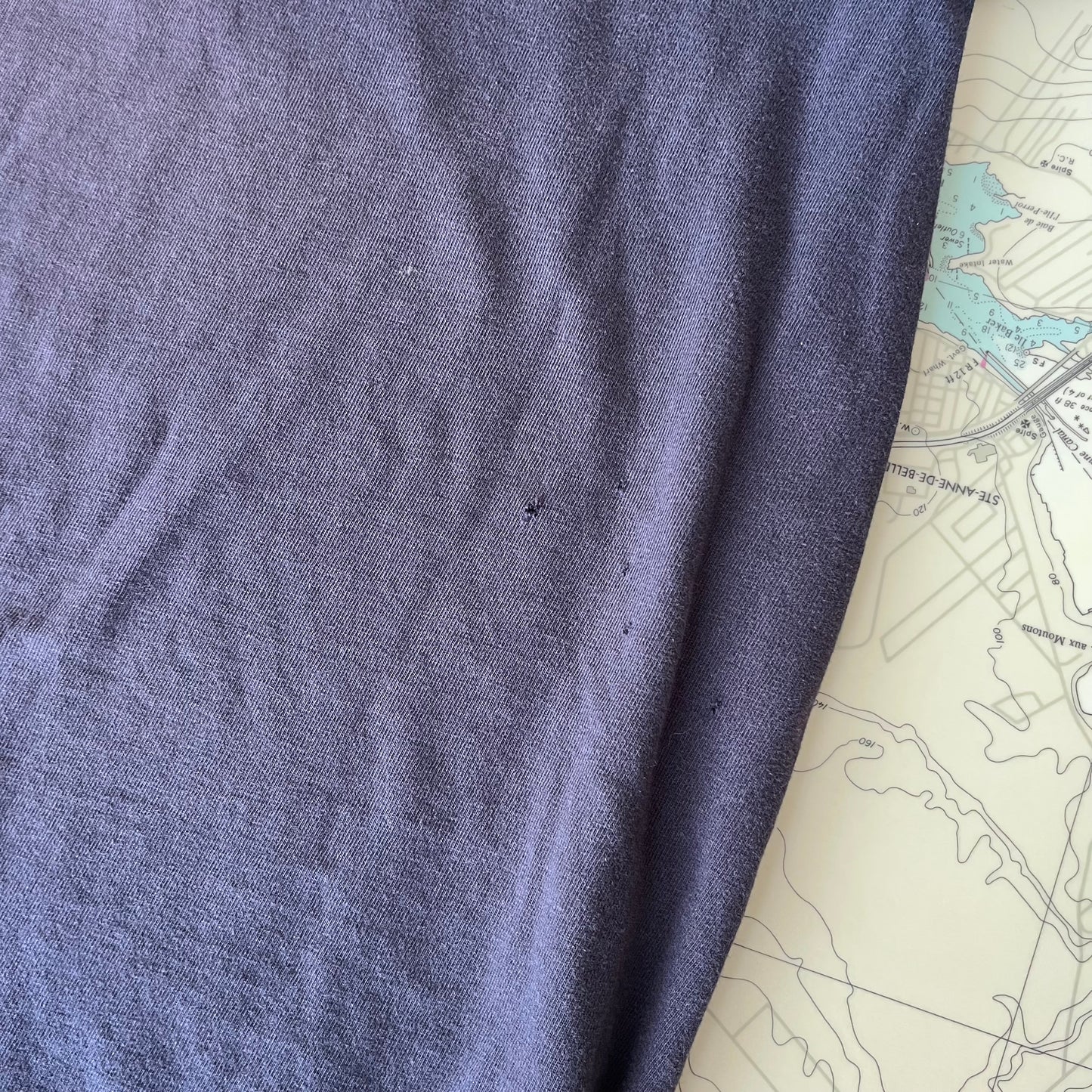 Vintage Harley Davidson Stuart Florida Dogs Understand Graphic Tee