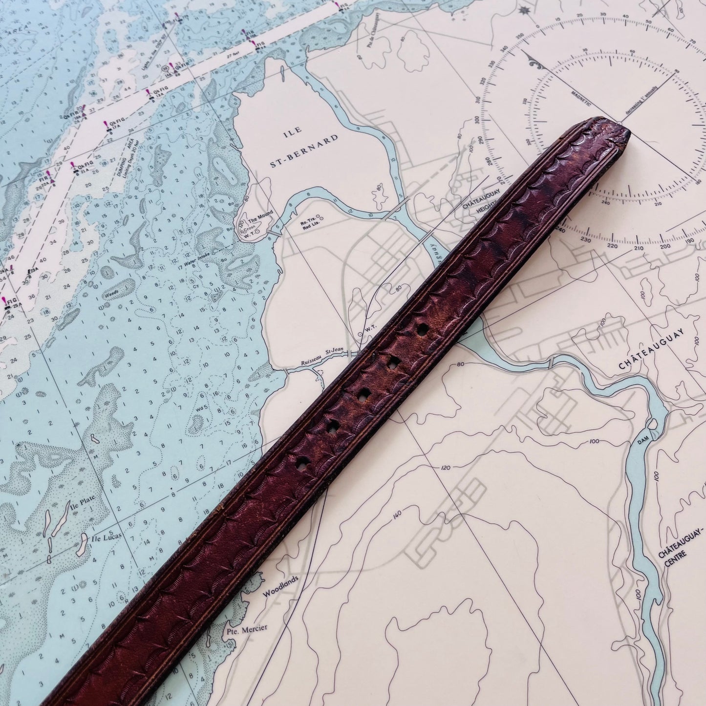 Vintage Leather Dragon Aspen Belt with Brass Buckle