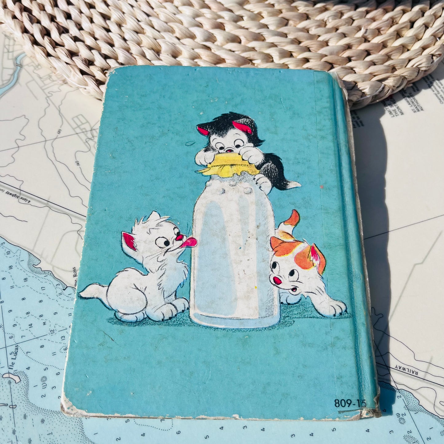 Vintage '50s Walt Disney The Three Orphan Kittens Hardcover Book