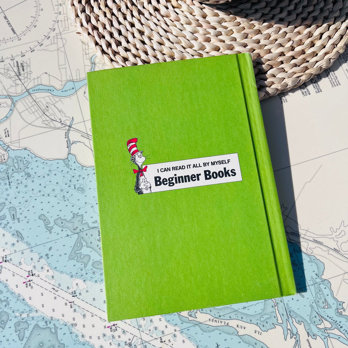 Vintage 1963 Summer Hardcover Book by Alice Roy & Roy McKie