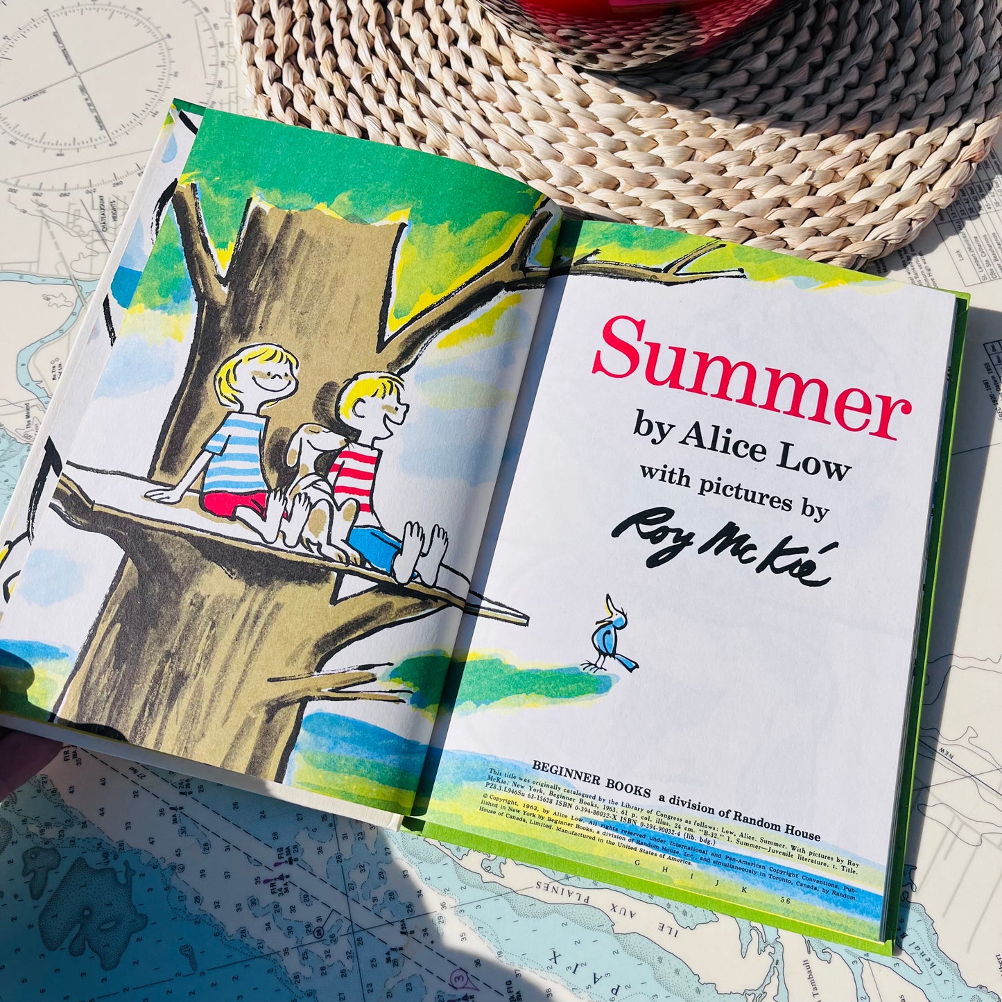 Vintage 1963 Summer Hardcover Book by Alice Roy & Roy McKie