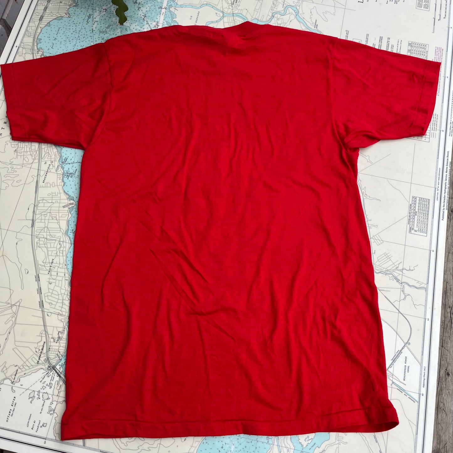 Vintage Delta Demons Silkscreened Single Stitch Tee